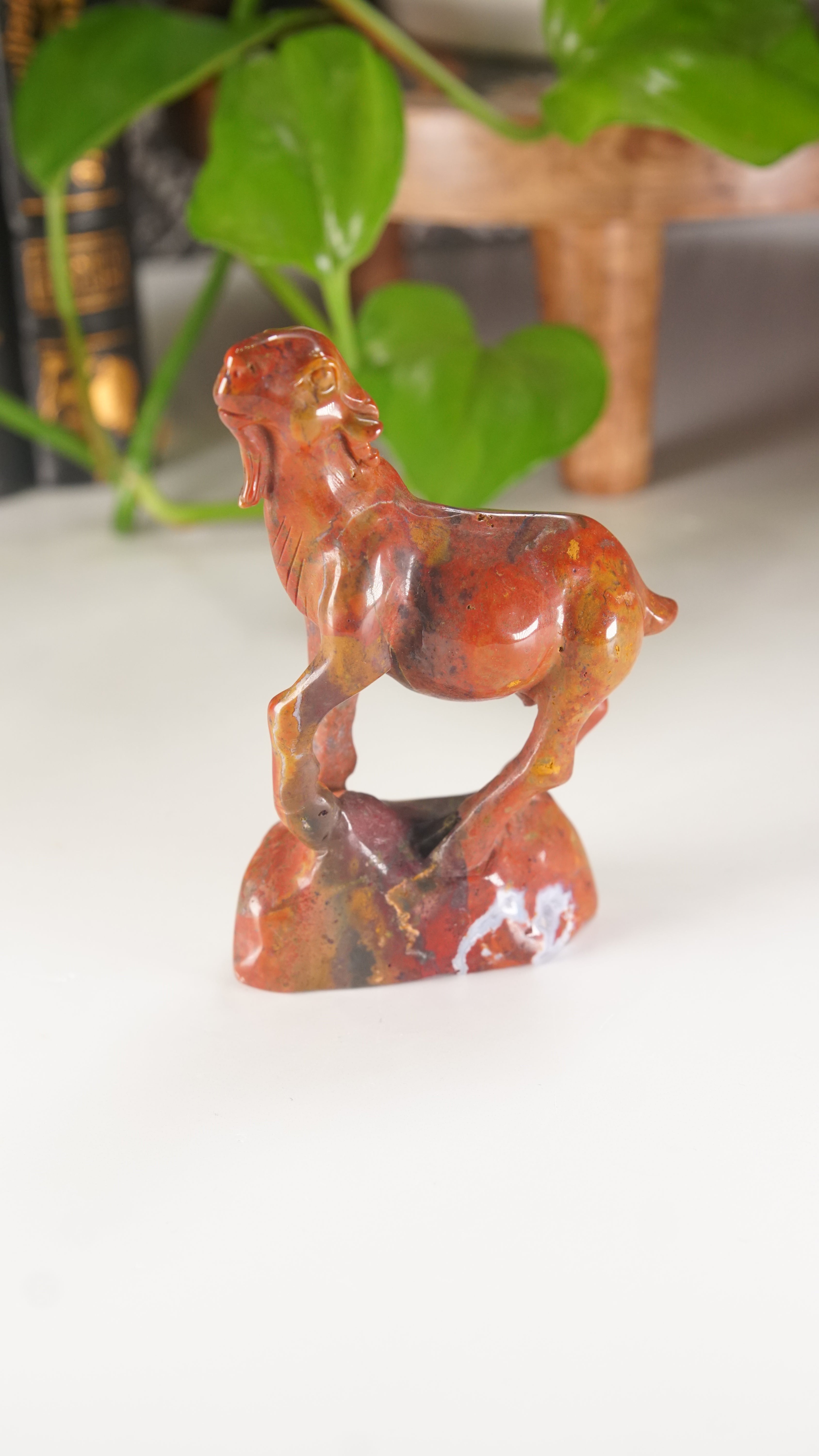 Ocean Jasper