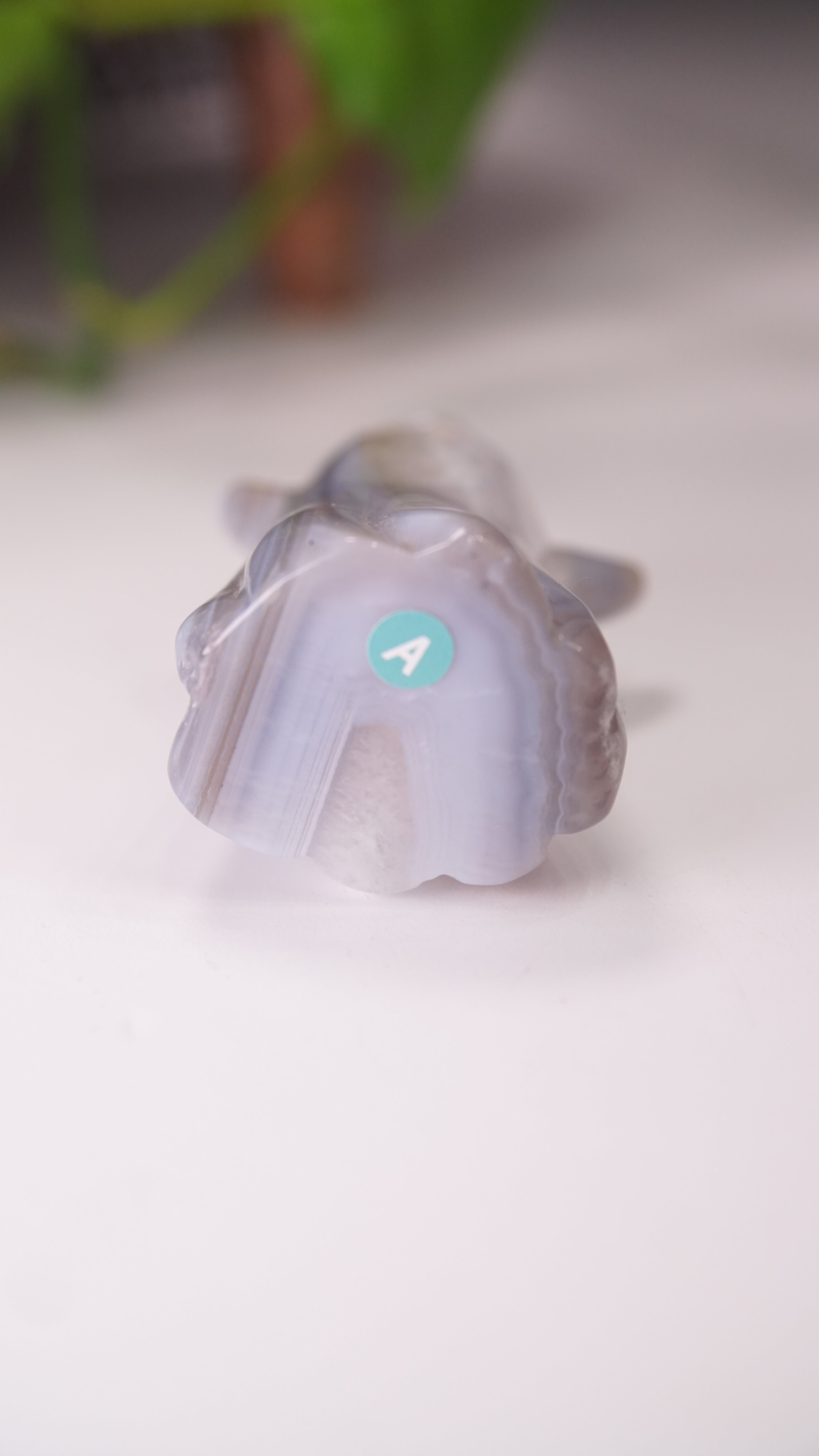 Druzy Agate Hand Carved Ghost Carving (A)
