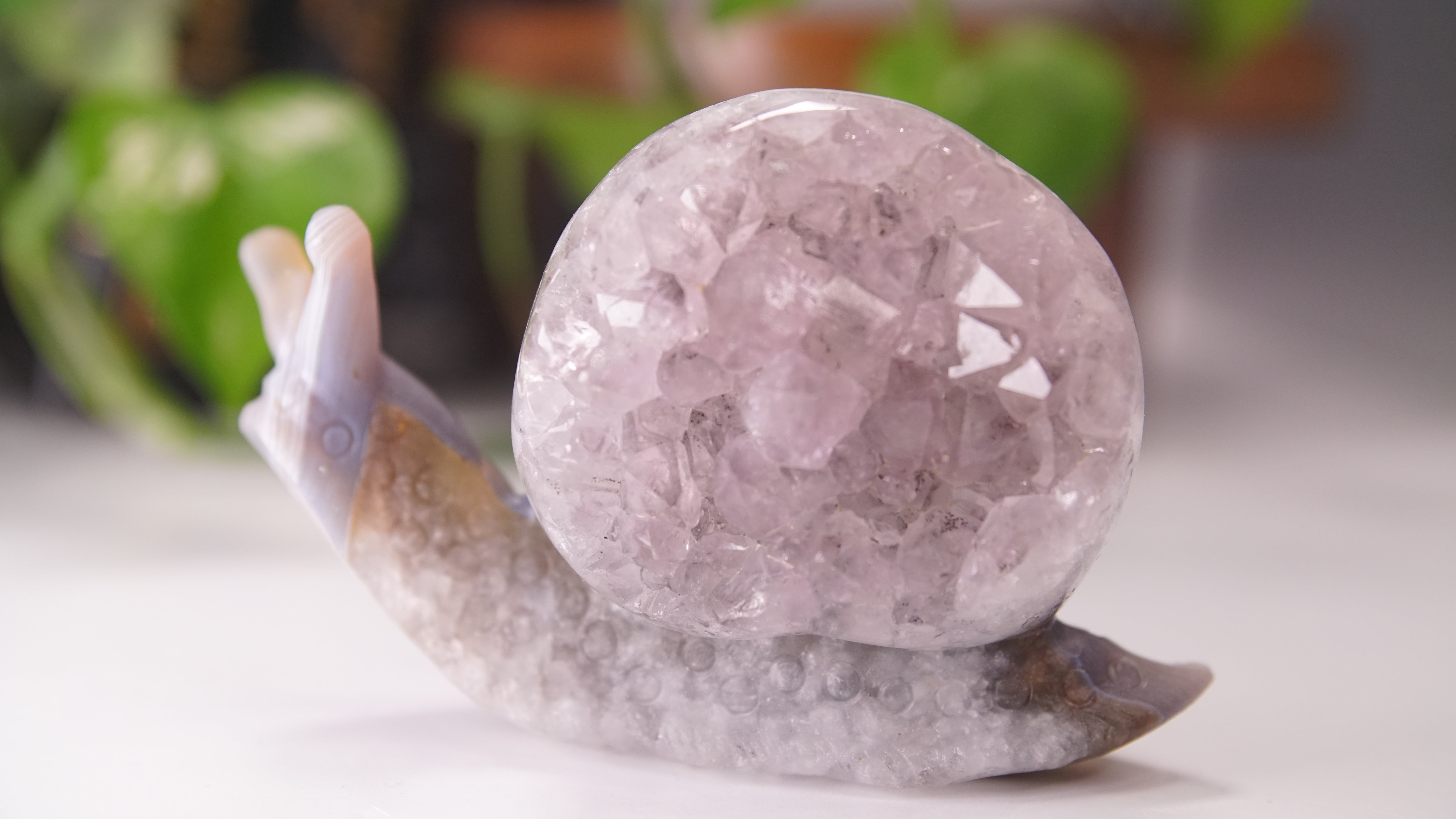 Gorgeous Agate Amethyst Boutique Snail Carving | Crystal Carving Statement Piece