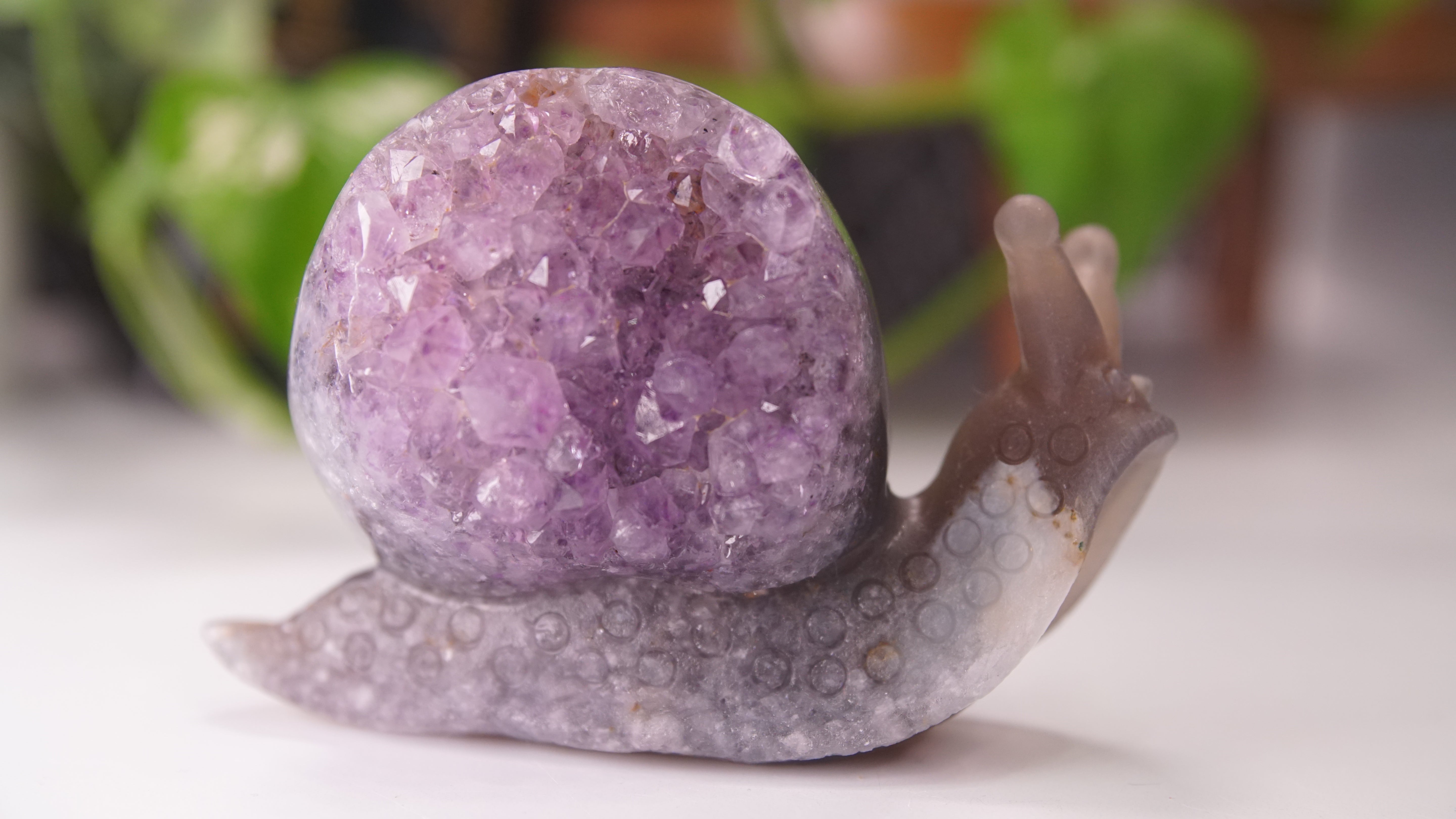 Gorgeous Agate Amethyst Boutique Snail Carving | Crystal Carving Statement Piece