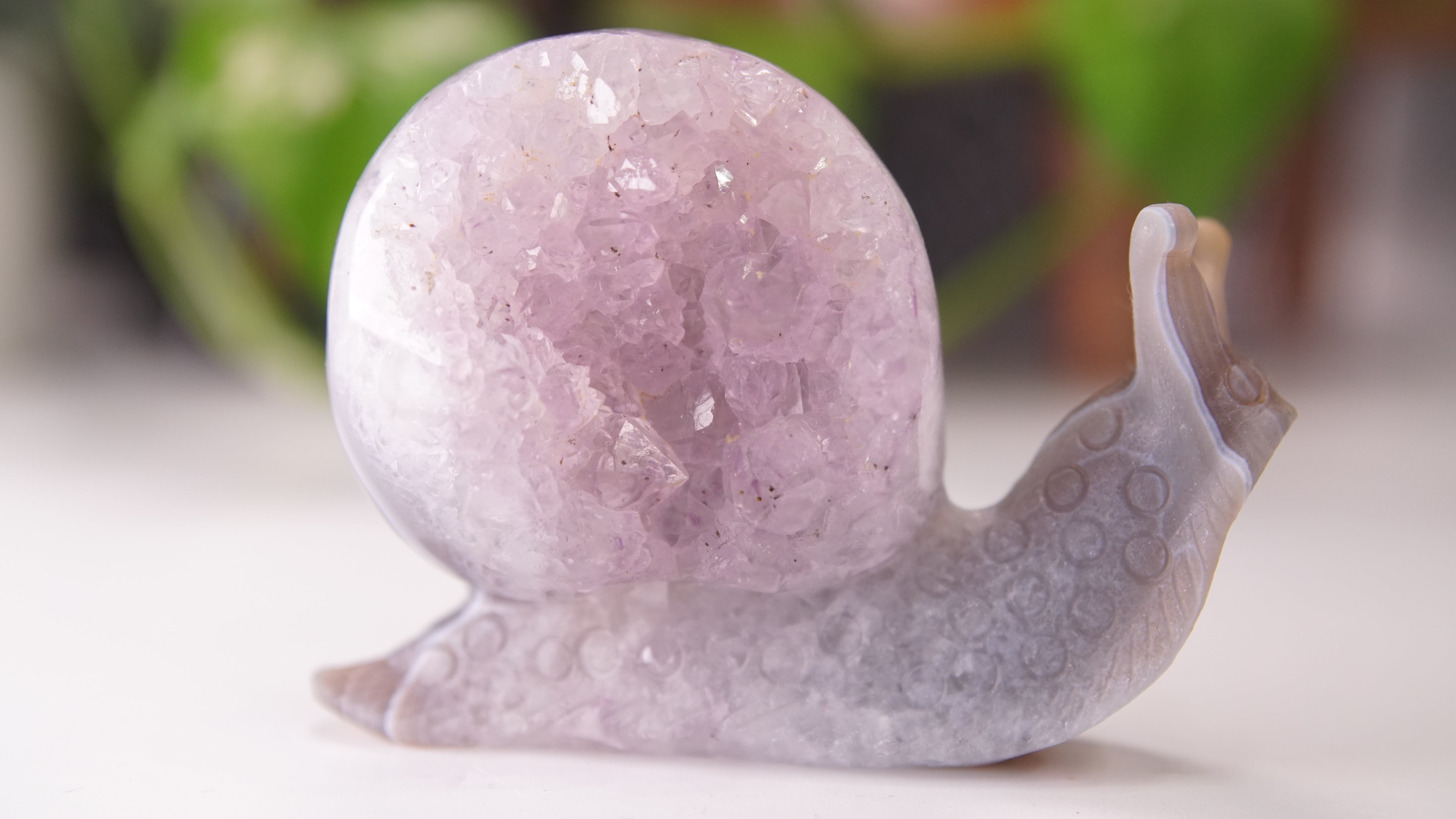 Gorgeous Agate Amethyst Boutique Snail Carving | Crystal Carving Statement Piece