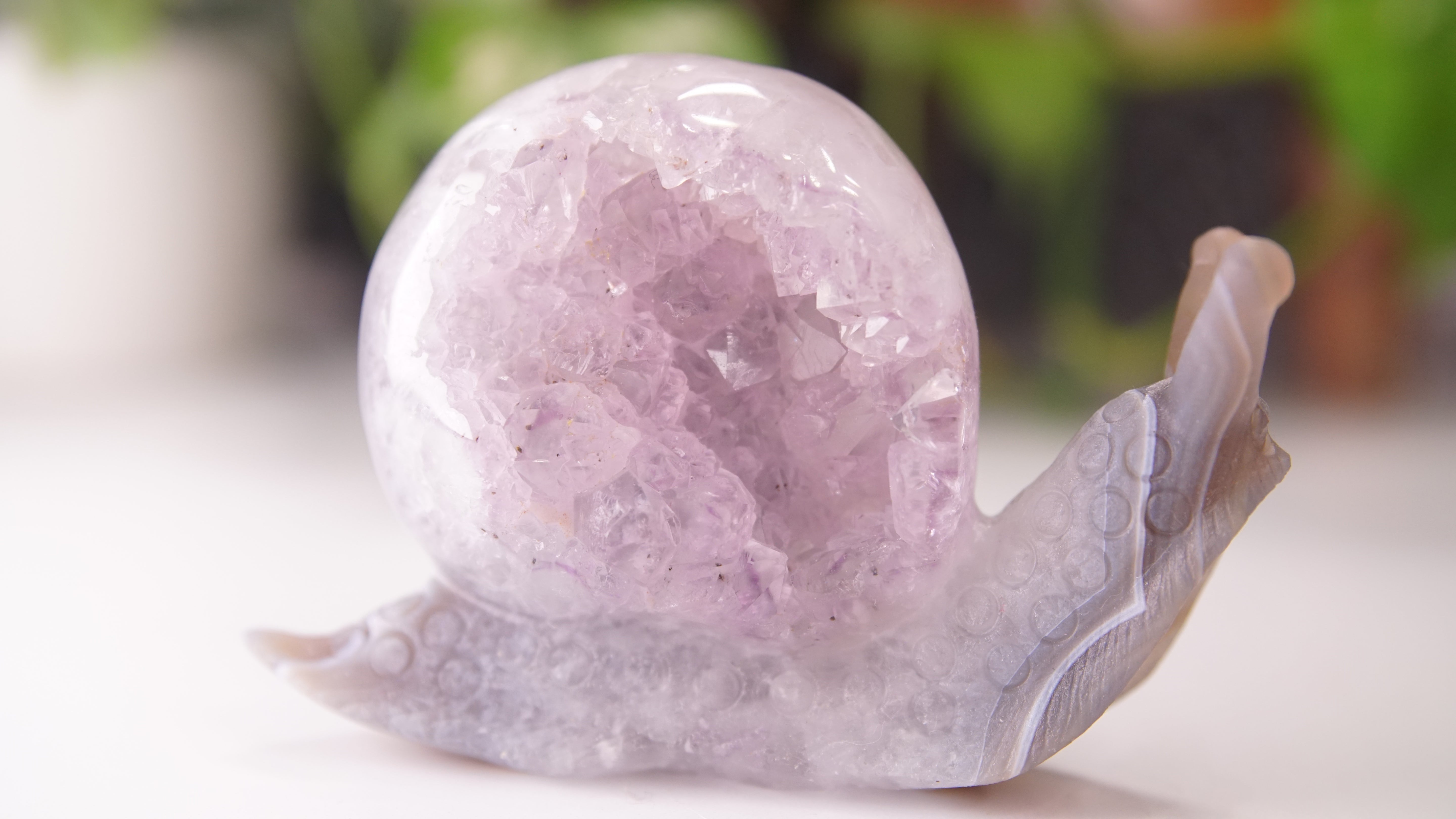 Gorgeous Agate Amethyst Boutique Snail Carving | Crystal Carving Statement Piece