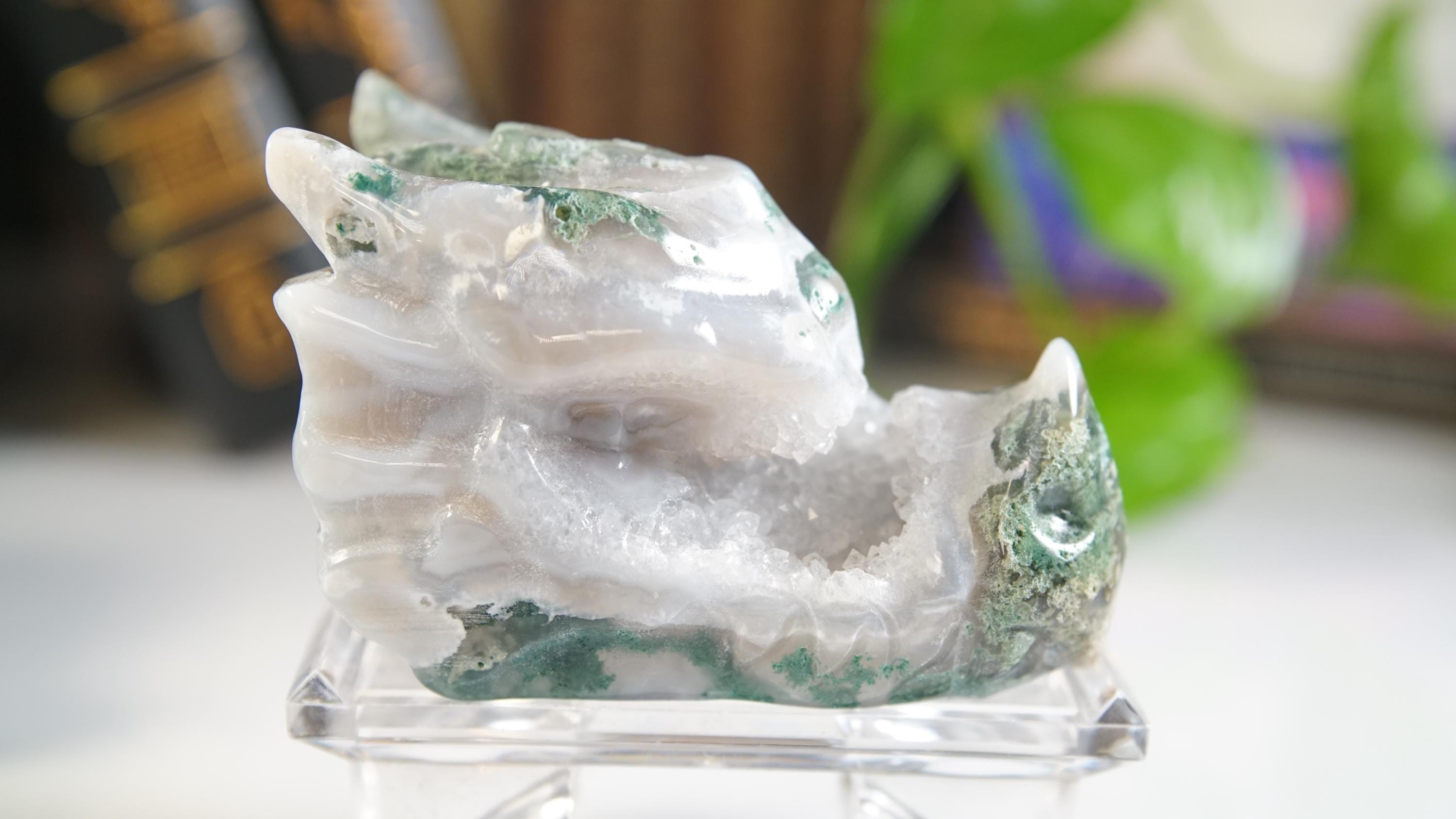 Moss Agate Dragon Head Healing Crystal Druzy Moss Agate Carving Stone Statue Energy Goddess Body Energy Reiki Altar