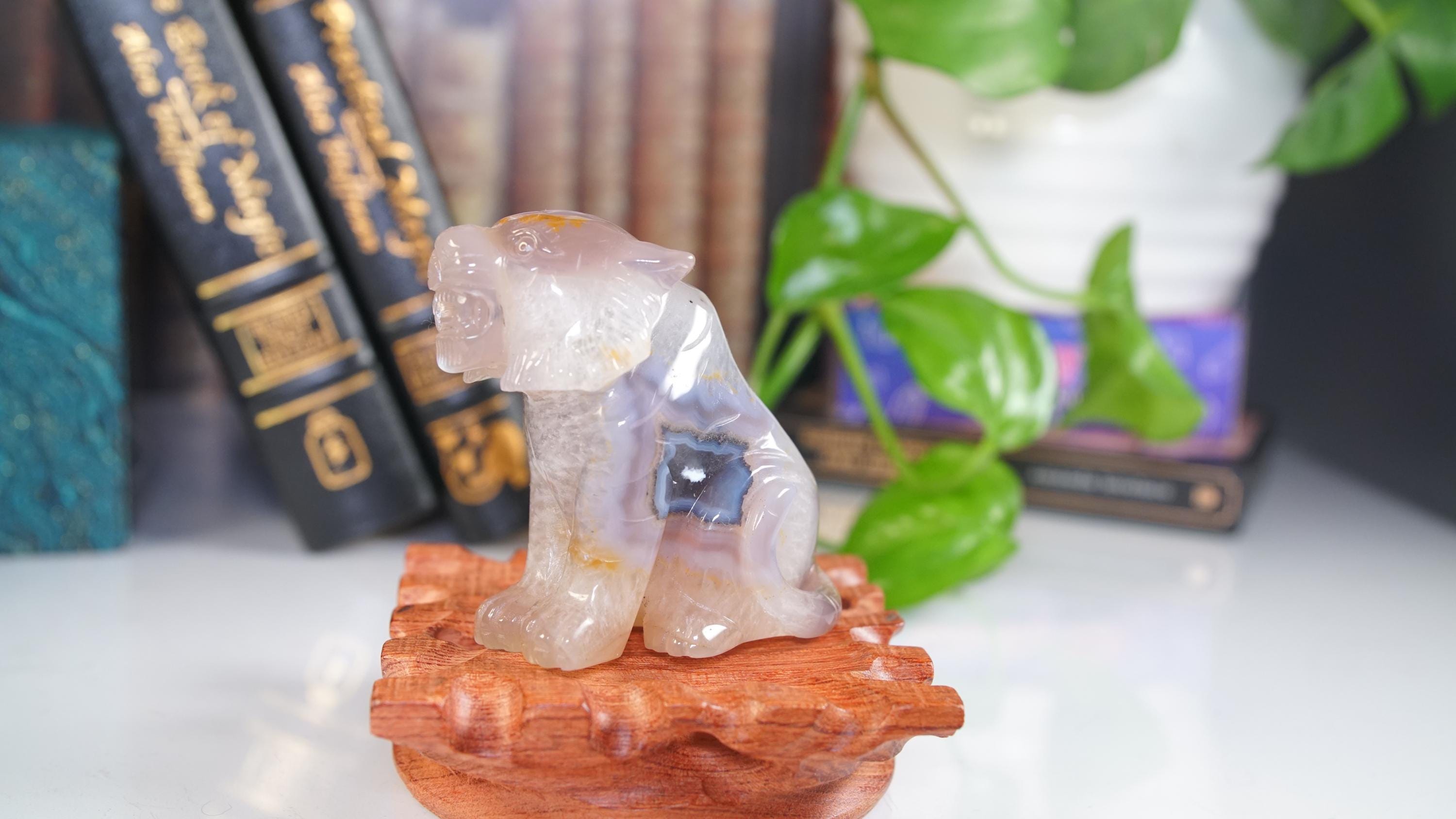 Druzy Tiger Agate | US Seller | Home Decor Energy Healing Feng Shui Altar Reiki Office Gift
