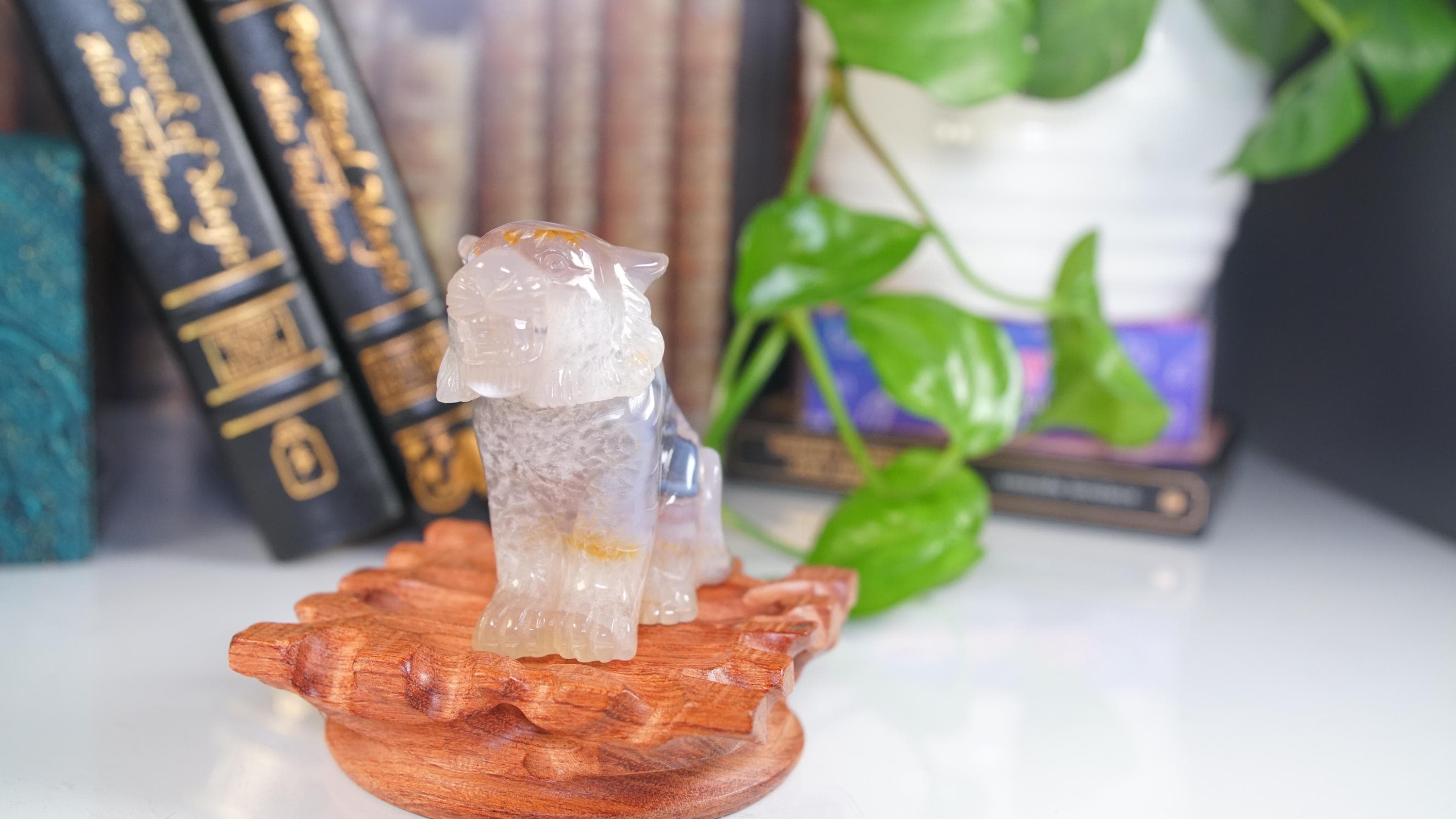 Druzy Tiger Agate | US Seller | Home Decor Energy Healing Feng Shui Altar Reiki Office Gift