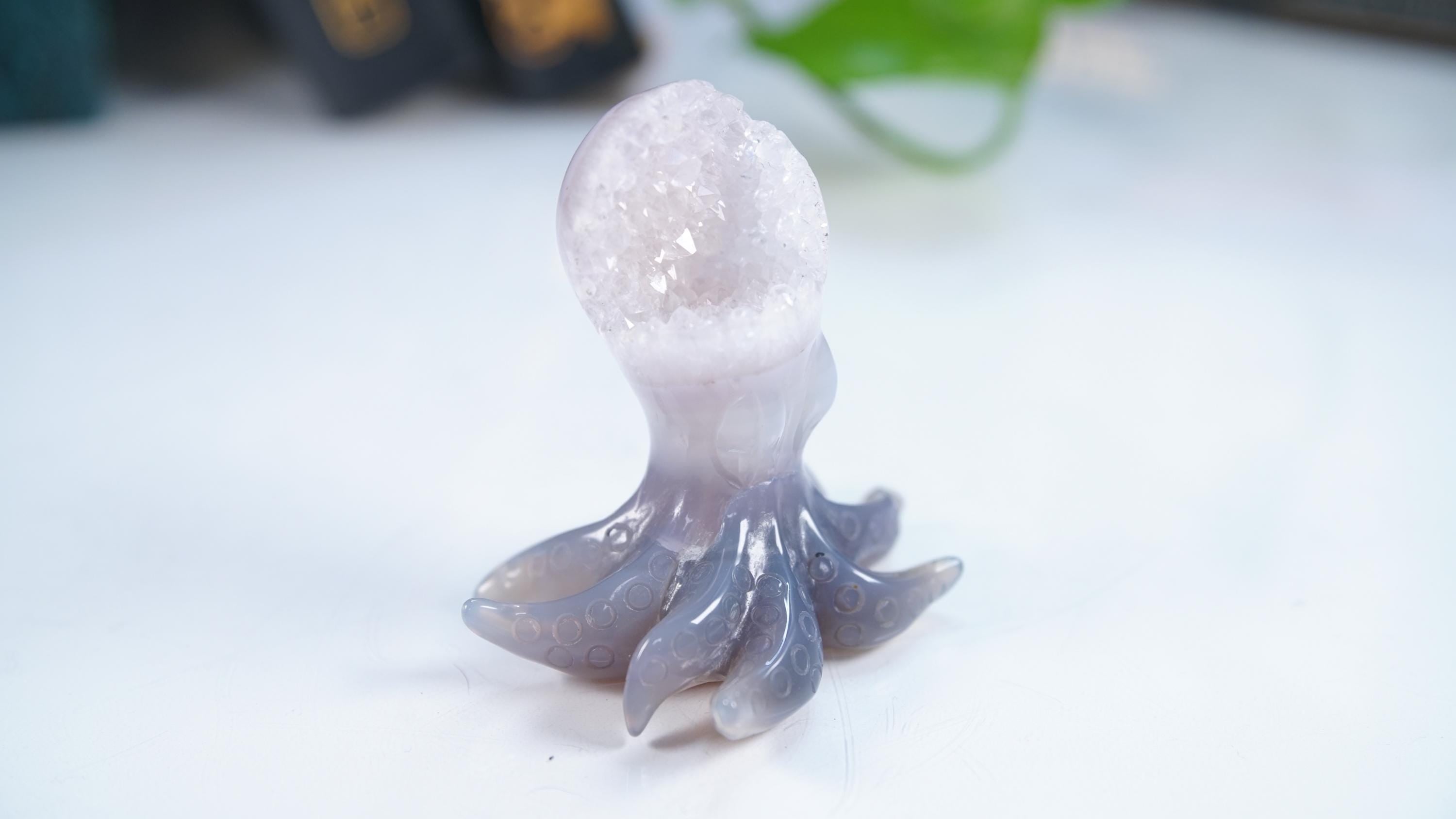 Druzy Agate Octopus Crystal Penguin Carving Geode Statement Piece