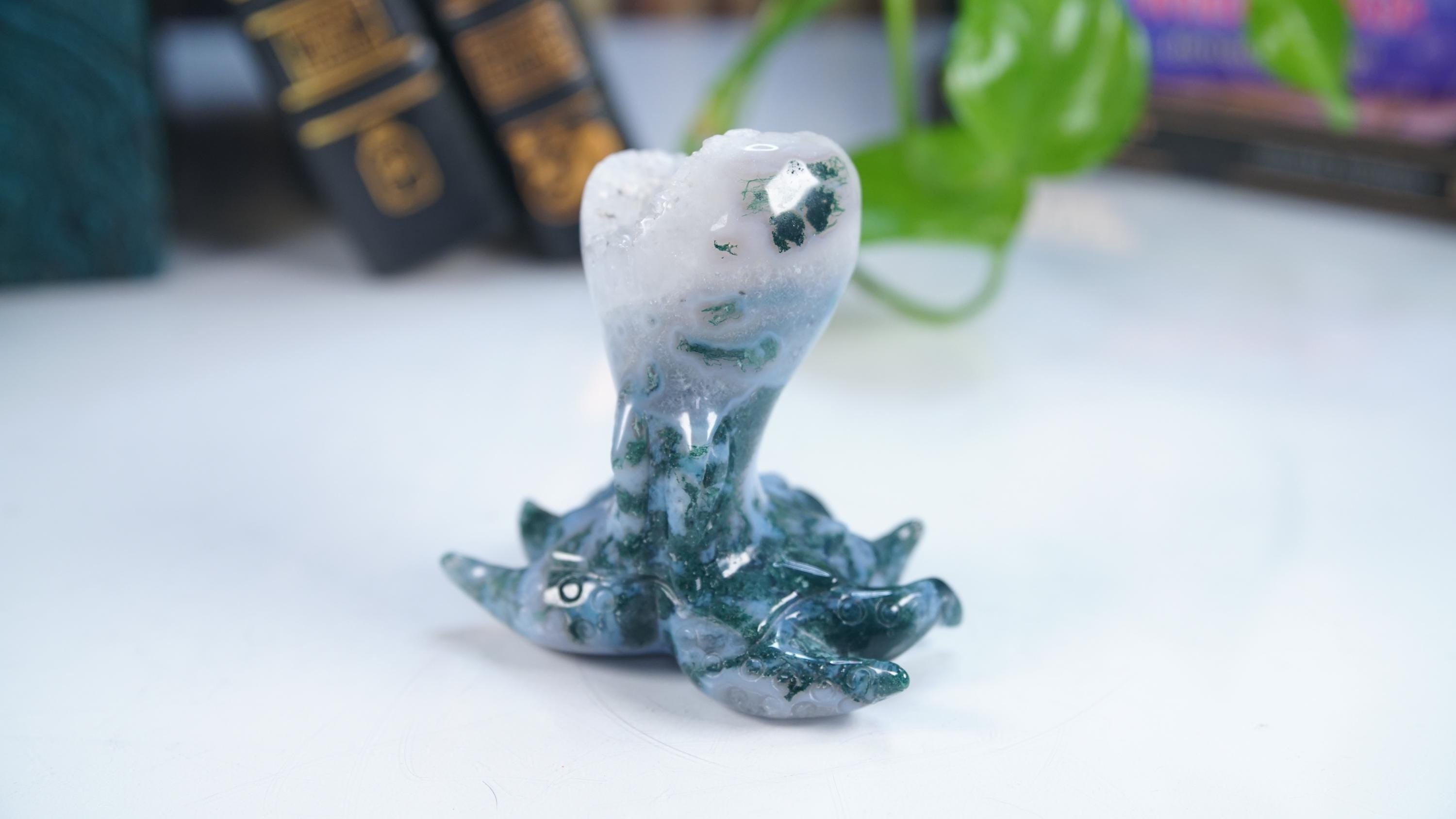 Druzy Moss Agate Octopus Crystal Penguin Carving Geode Statement Piece