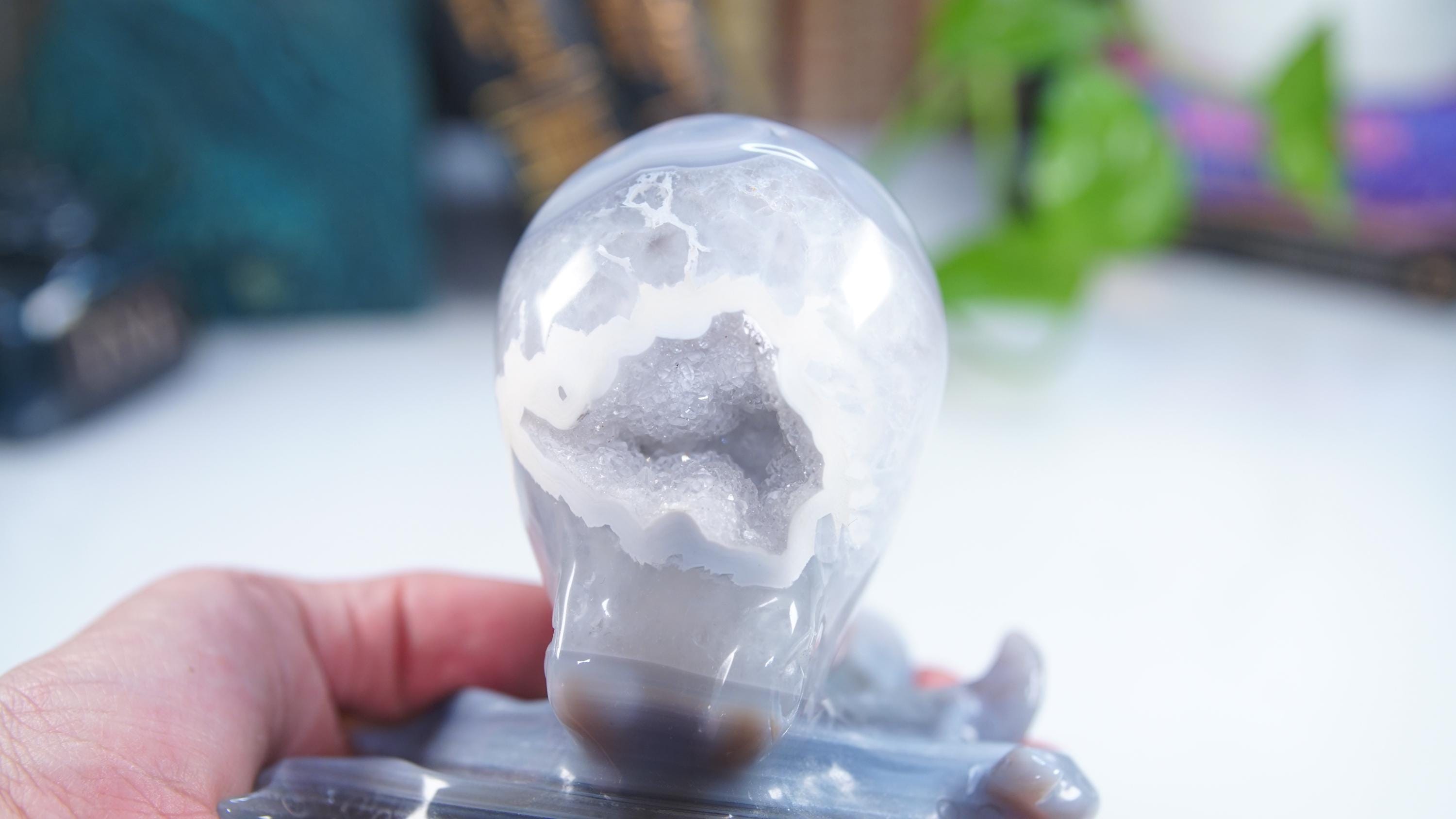 XL Druzy Agate Octopus Crystal Penguin Carving Geode Statement Piece