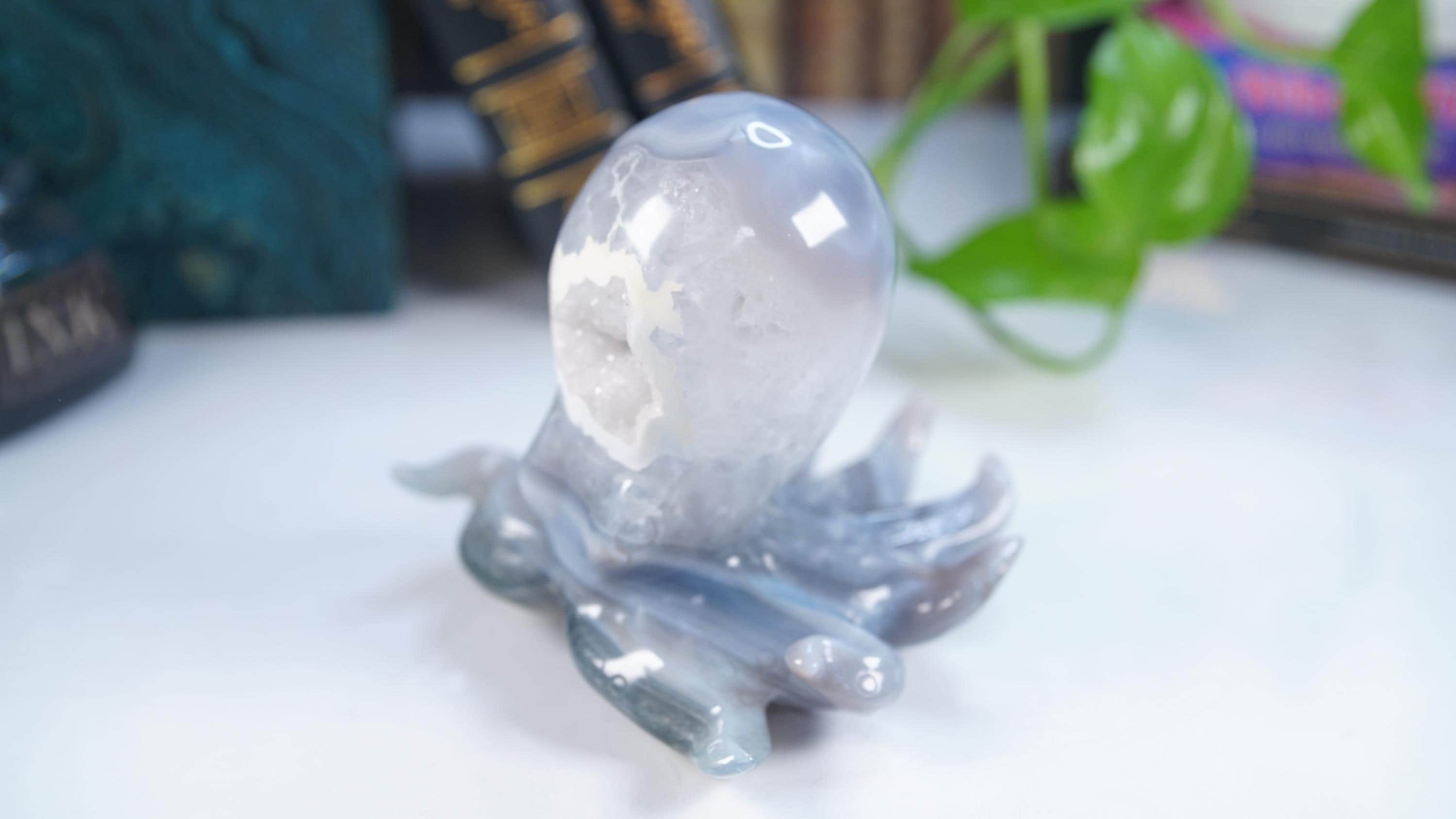 XL Druzy Agate Octopus Crystal Penguin Carving Geode Statement Piece