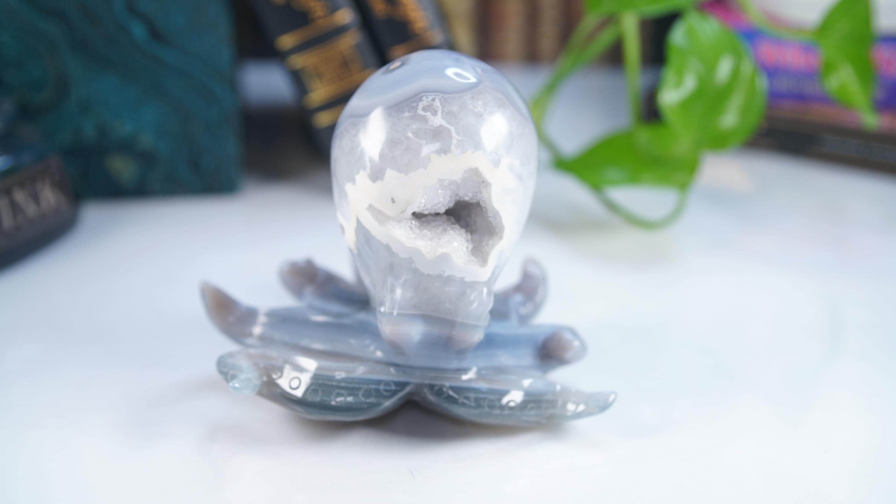 XL Druzy Agate Octopus Crystal Penguin Carving Geode Statement Piece