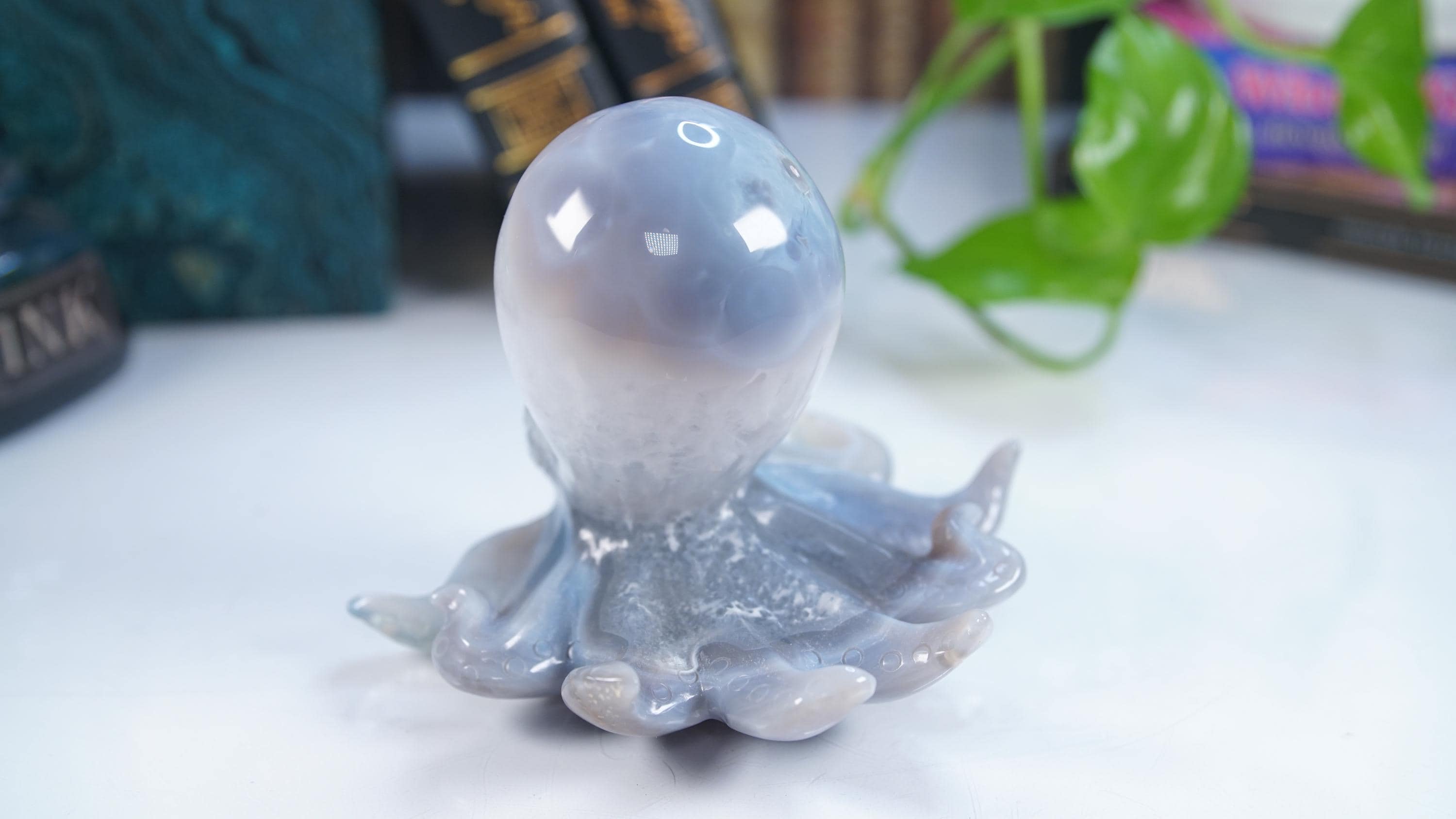 XL Druzy Agate Octopus Crystal Penguin Carving Geode Statement Piece