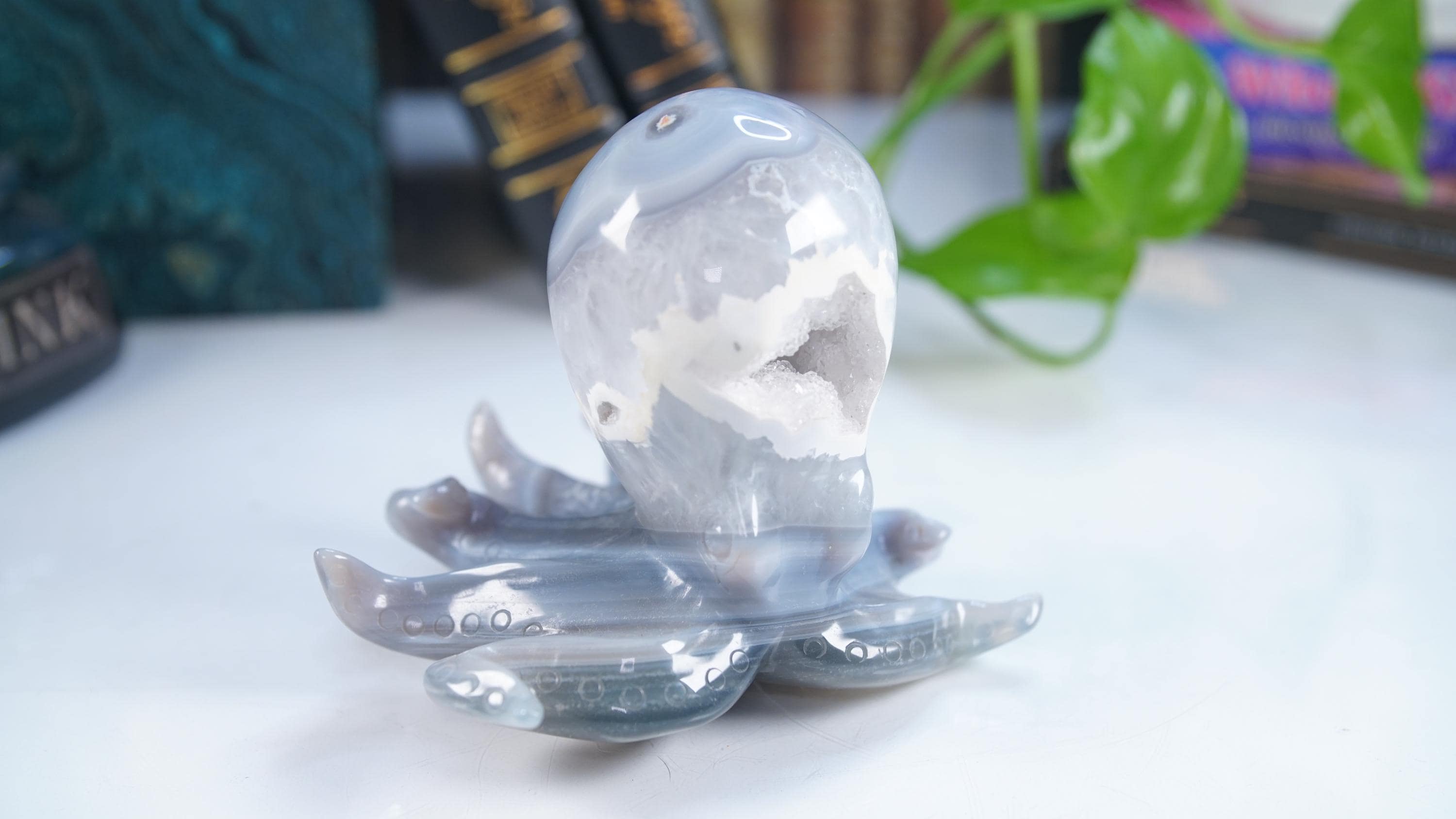 XL Druzy Agate Octopus Crystal Penguin Carving Geode Statement Piece