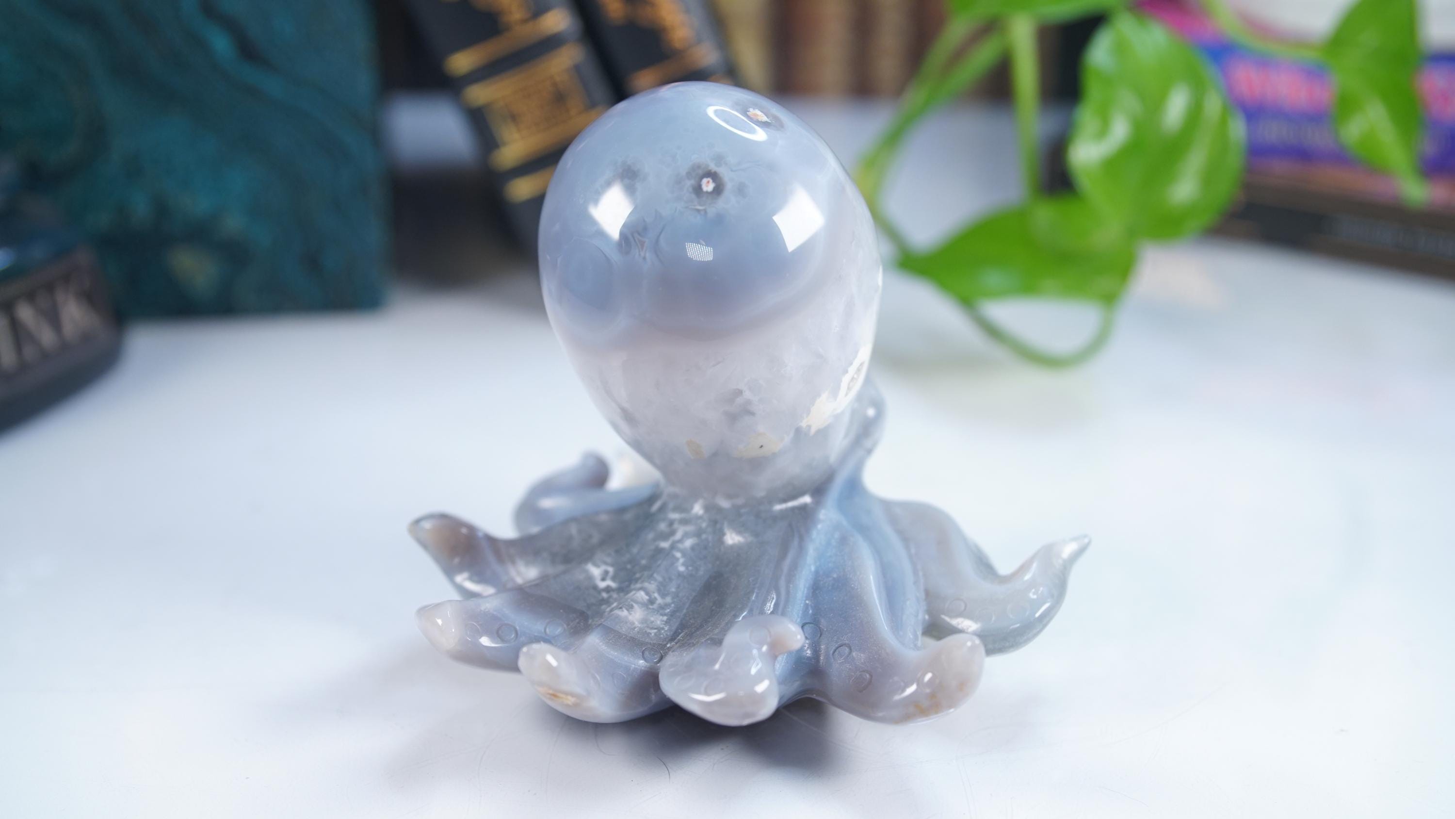 XL Druzy Agate Octopus Crystal Penguin Carving Geode Statement Piece