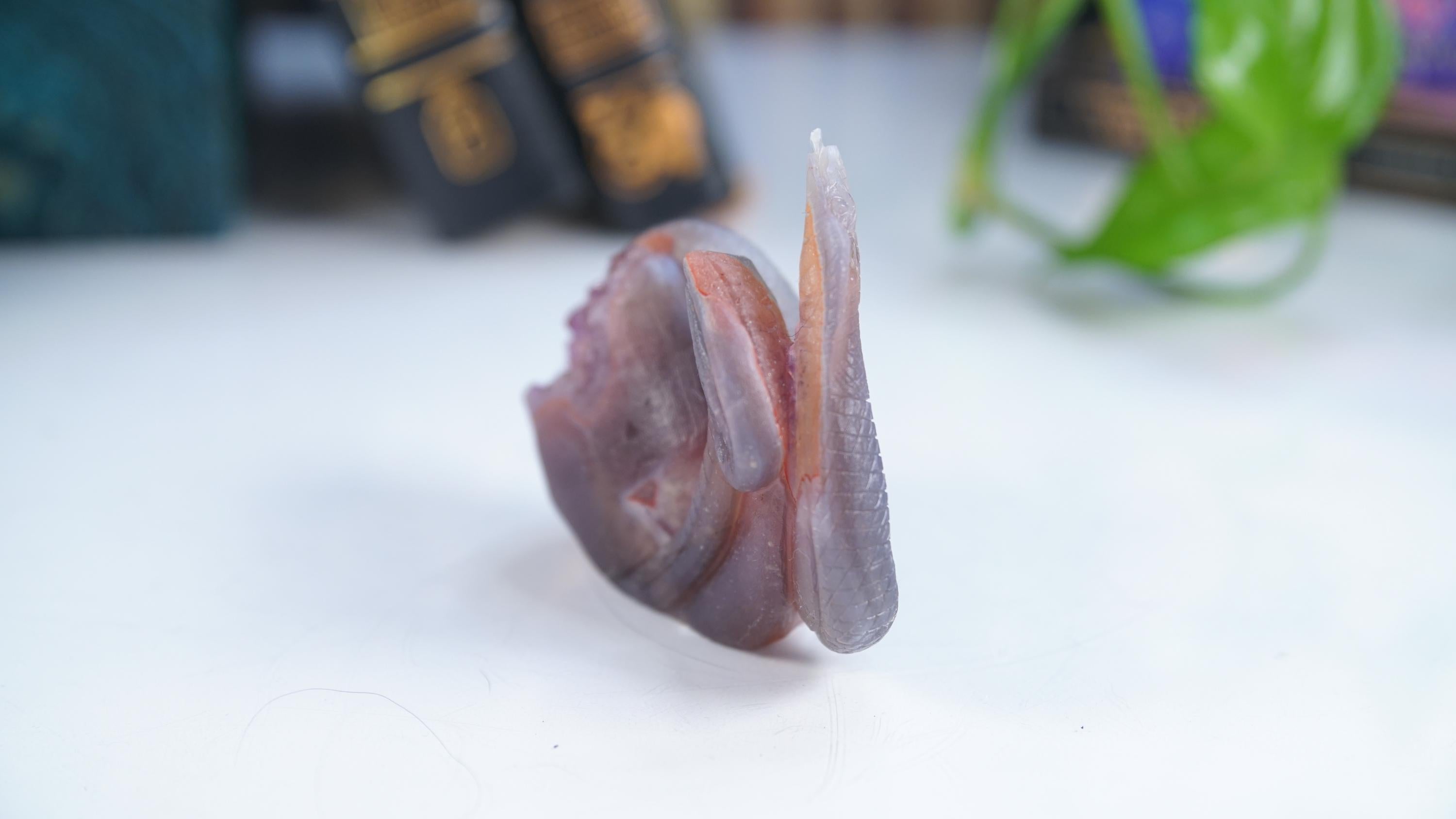 Druzy Agate Amethyst Snake Crystal Carving Geode Statement Piece