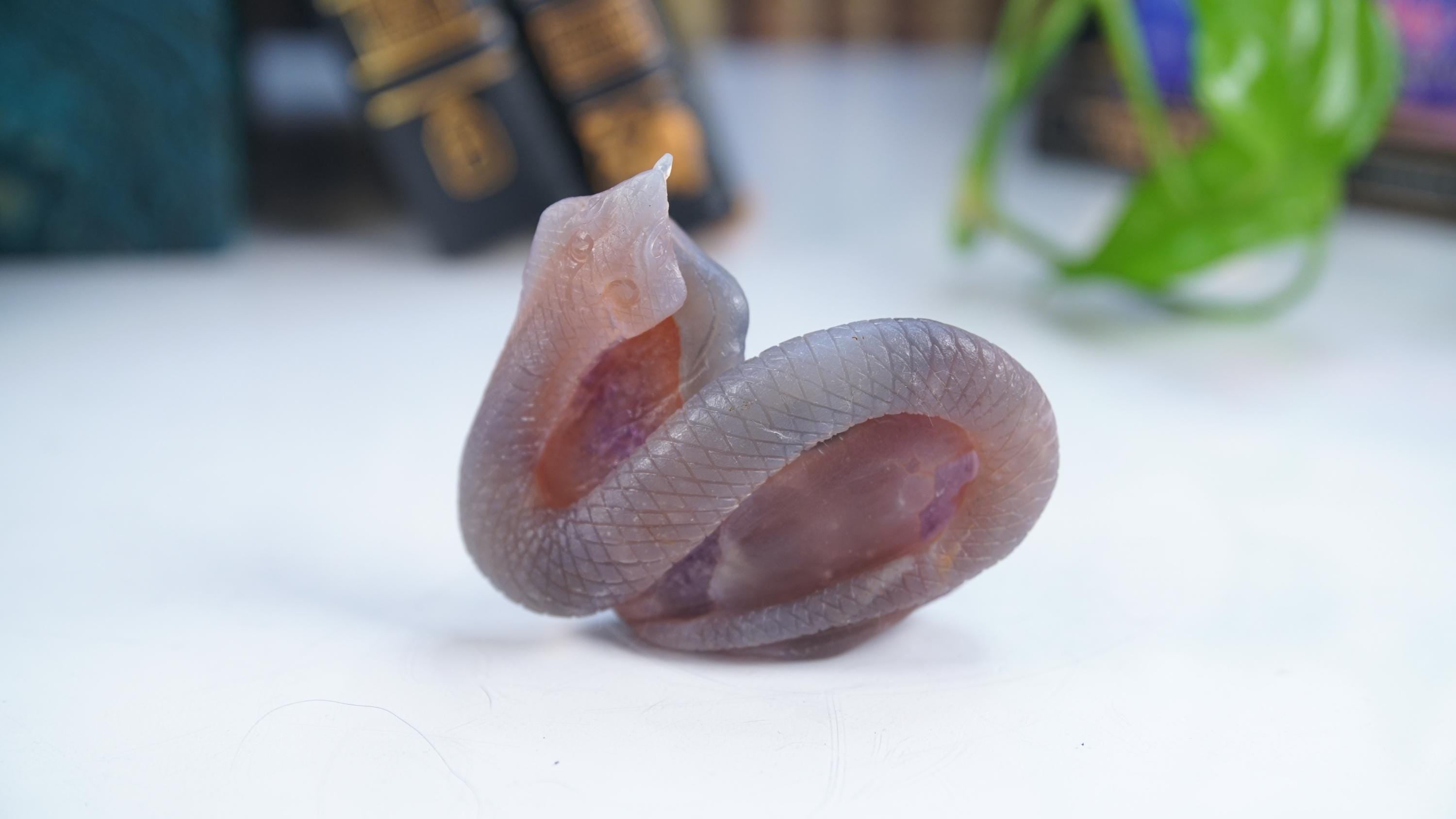Druzy Agate Amethyst Snake Crystal Carving Geode Statement Piece