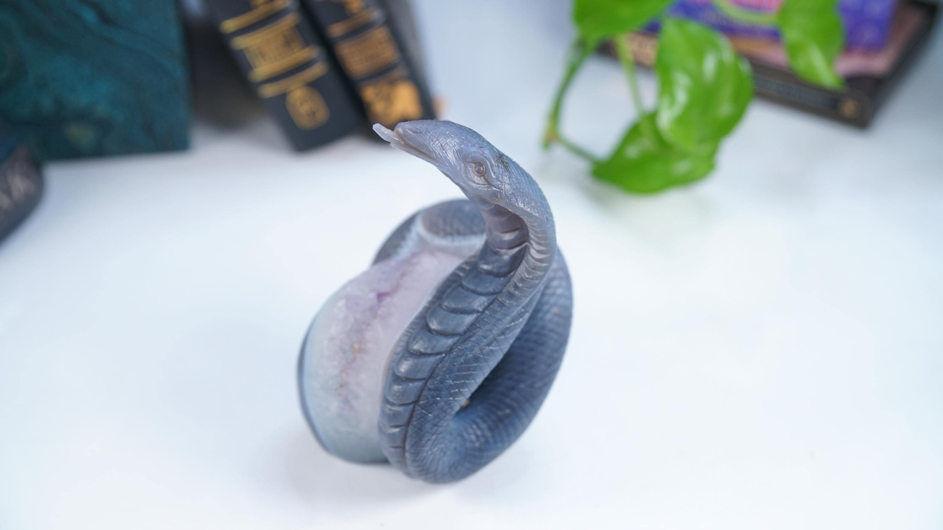 Druzy Agate Amethyst Snake Crystal Carving Geode Statement Piece