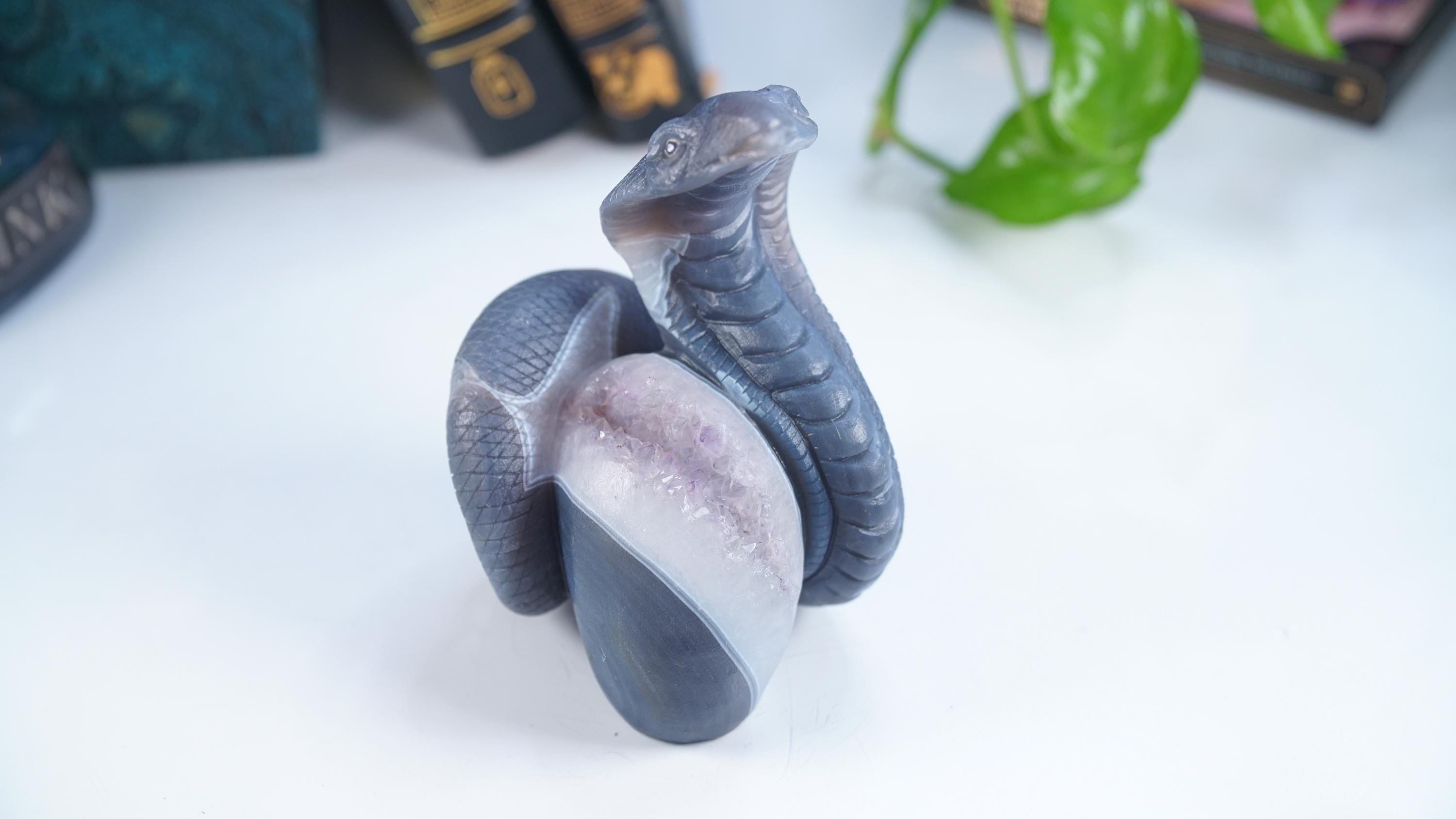 Druzy Agate Amethyst Snake Crystal Carving Geode Statement Piece