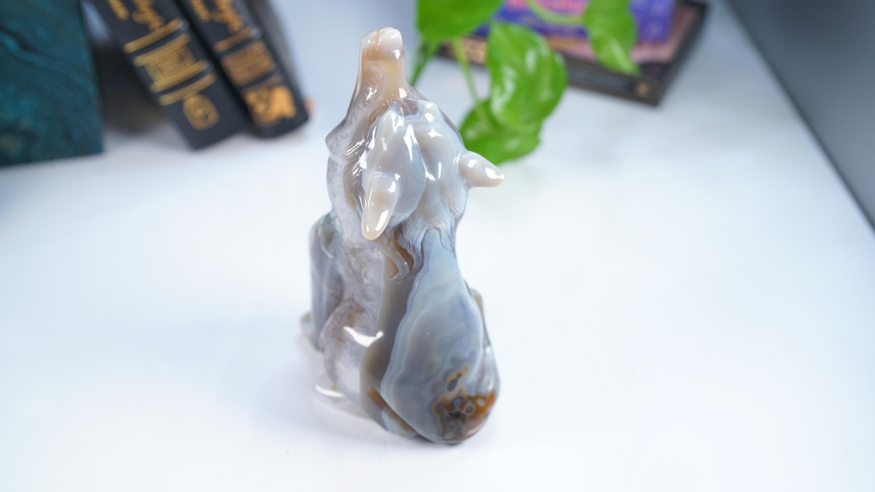 XL Druzy Agate Wolf Crystal Carving Geode Statement Piece