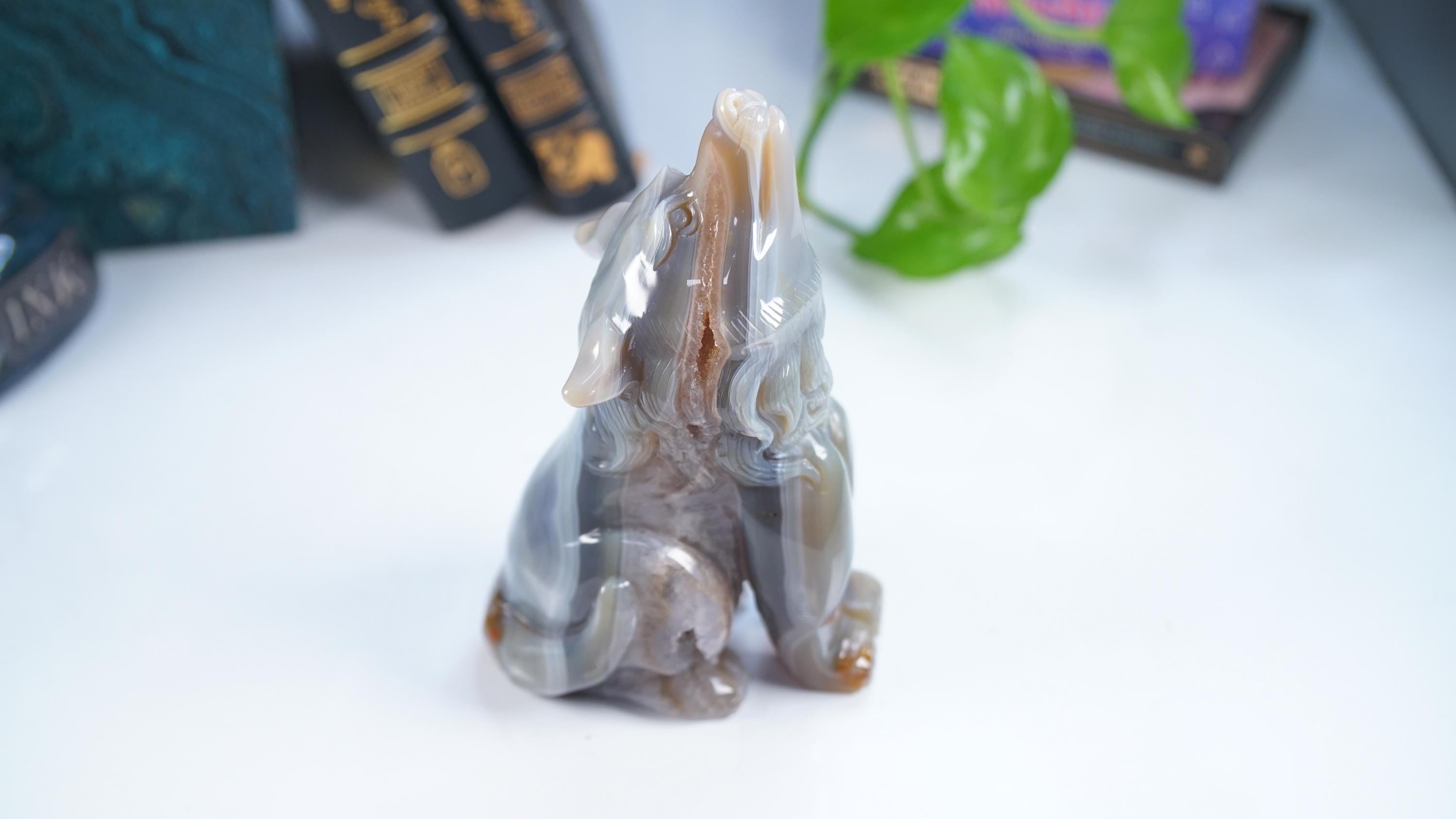XL Druzy Agate Wolf Crystal Carving Geode Statement Piece