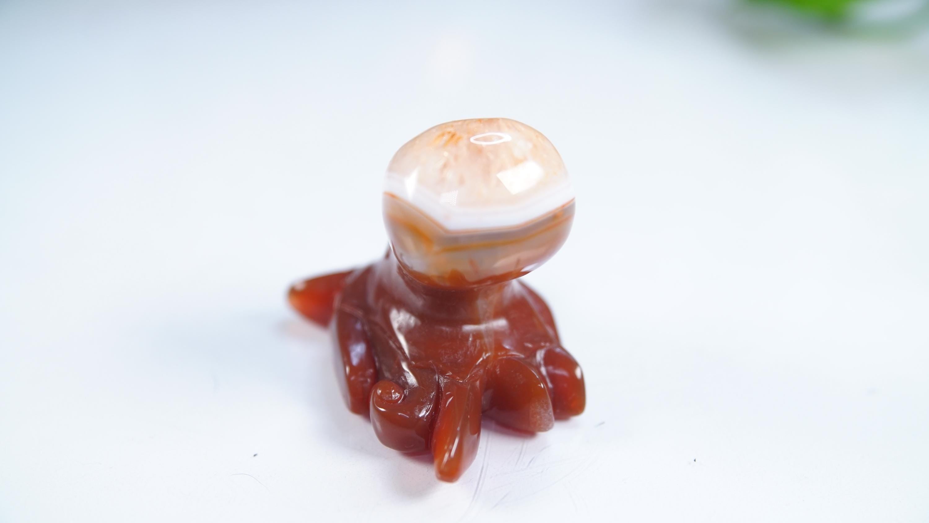 Red Carnelian Octopus Stone Carving Sculpture Healing Altar Reiki Feng Shui Altar