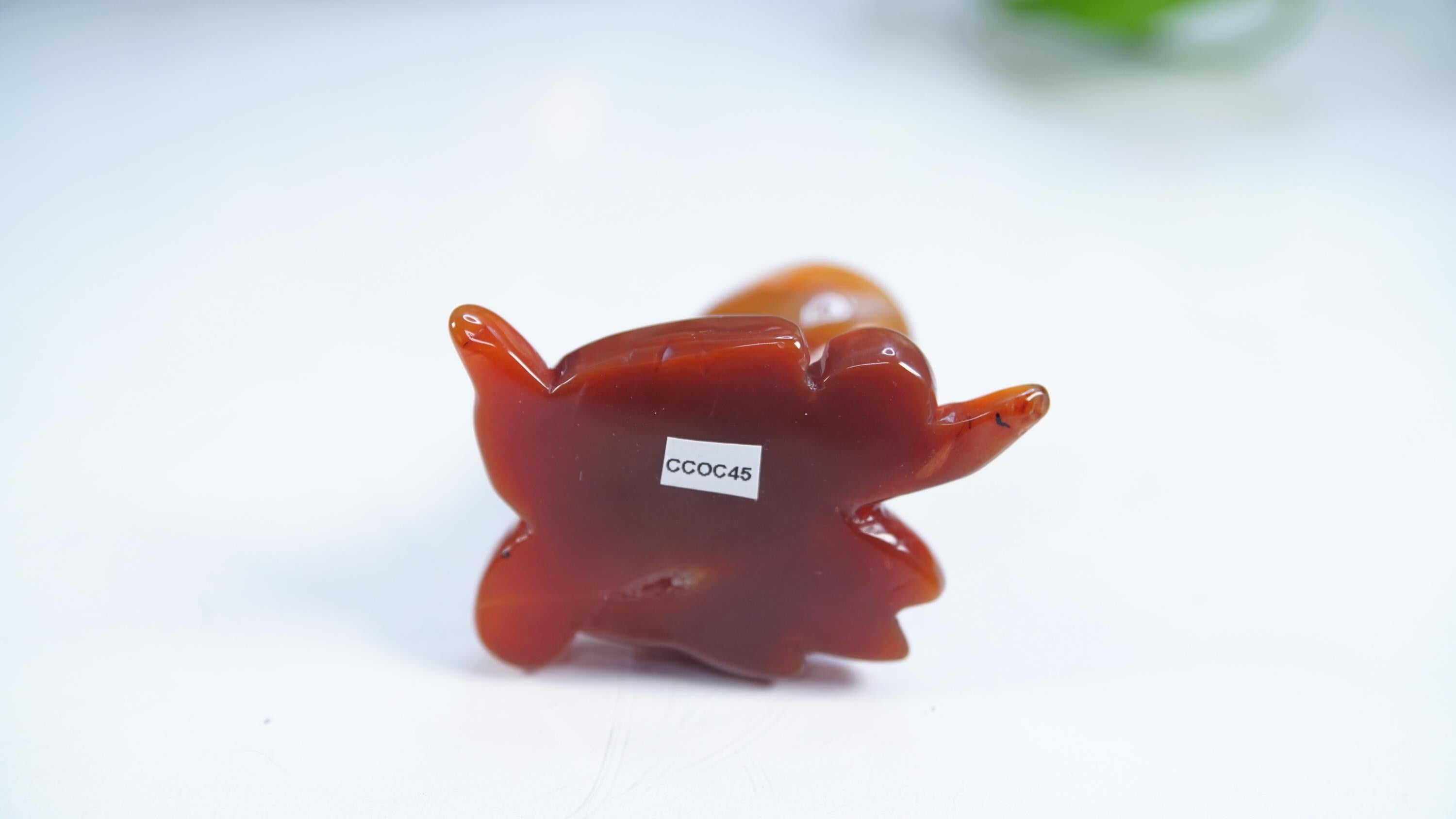 Red Carnelian Octopus Stone Carving Sculpture Healing Altar Reiki Feng Shui Altar
