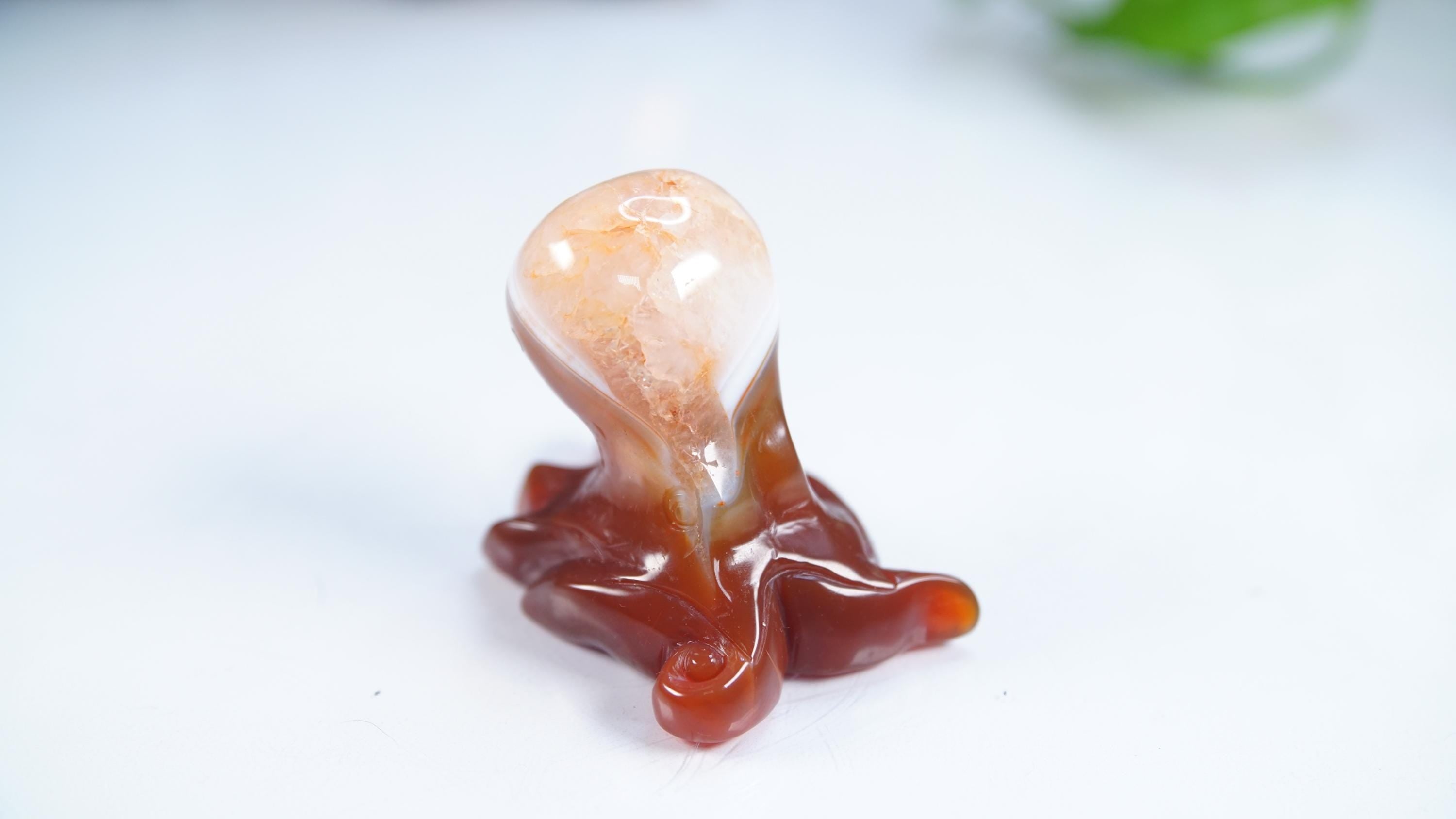 Red Carnelian Octopus Stone Carving Sculpture Healing Altar Reiki Feng Shui Altar