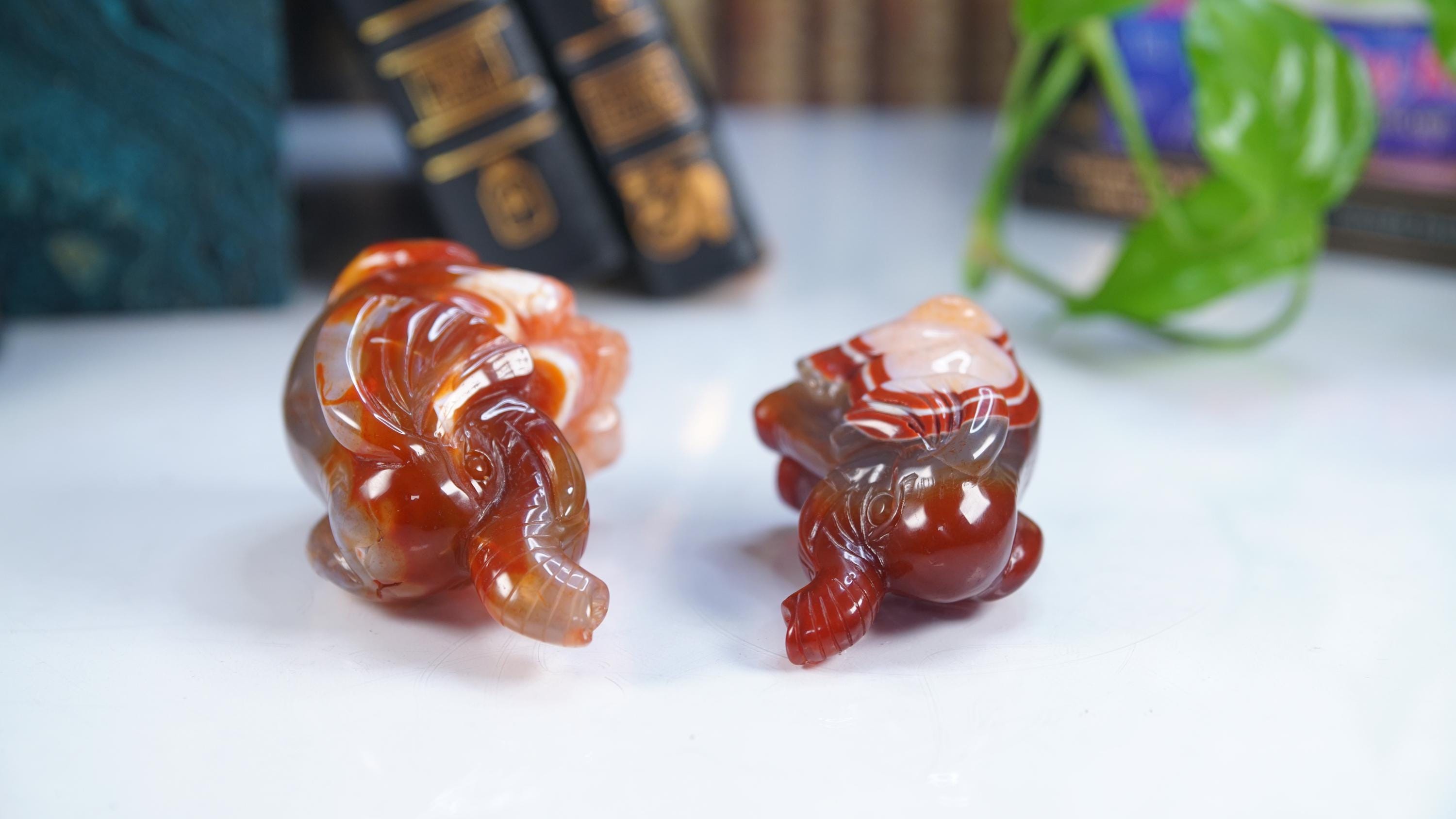 Red Carnelian Elephant Stone Carving Sculpture Healing Altar Reiki Feng Shui Altar