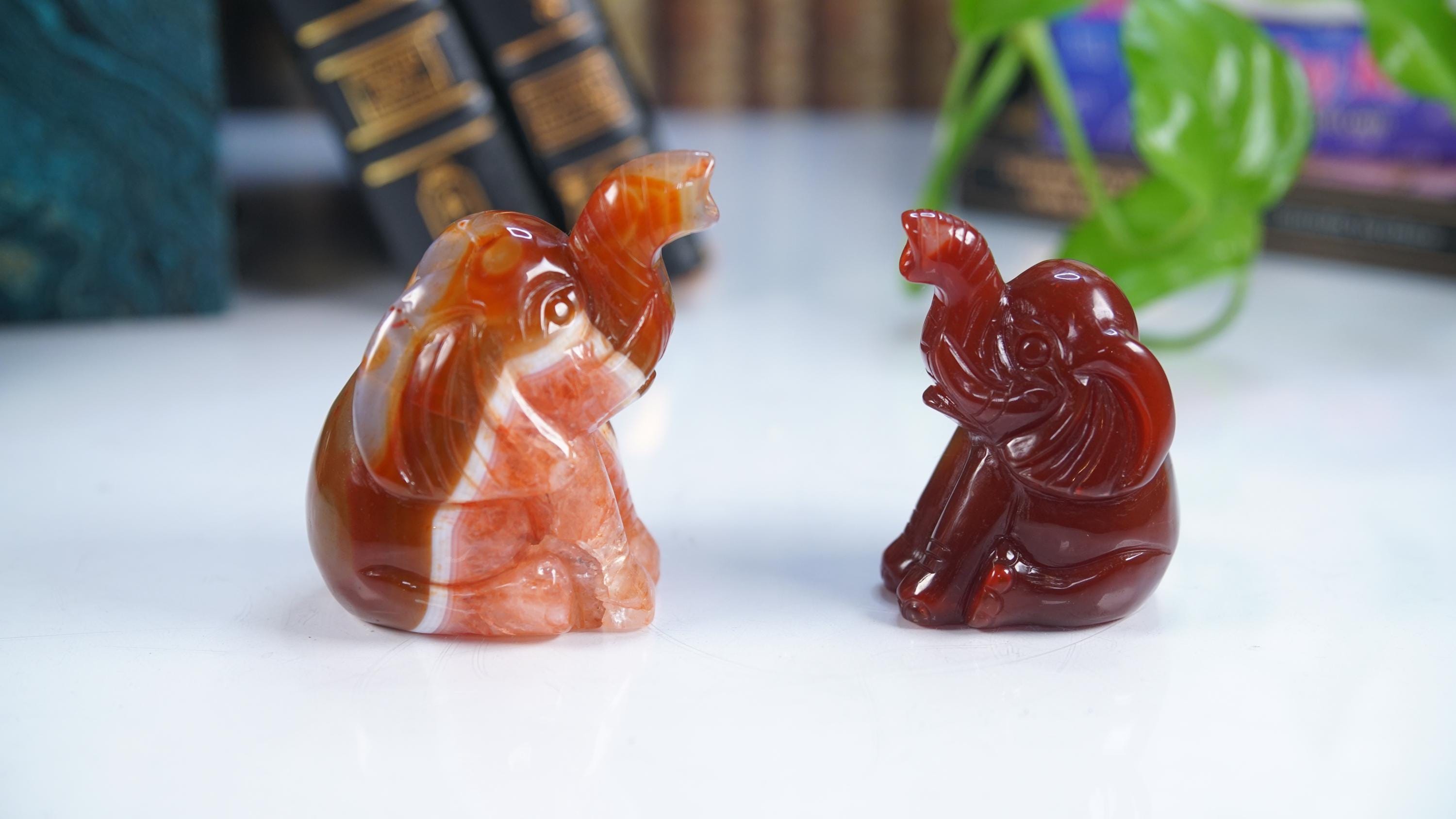 Red Carnelian Elephant Stone Carving Sculpture Healing Altar Reiki Feng Shui Altar