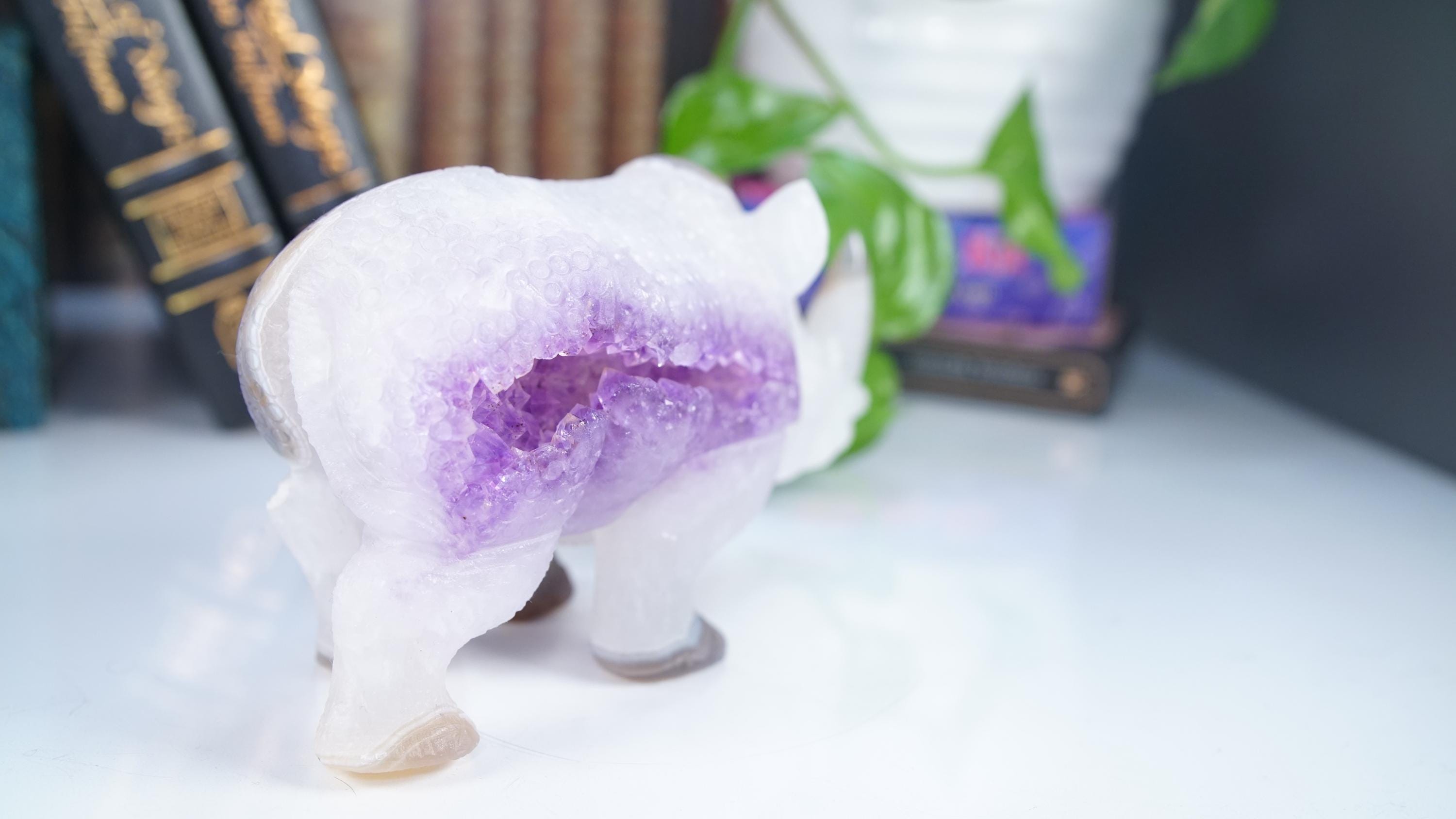 XL Druzy Agate Rhino Crystal Carving Geode Statement Piece