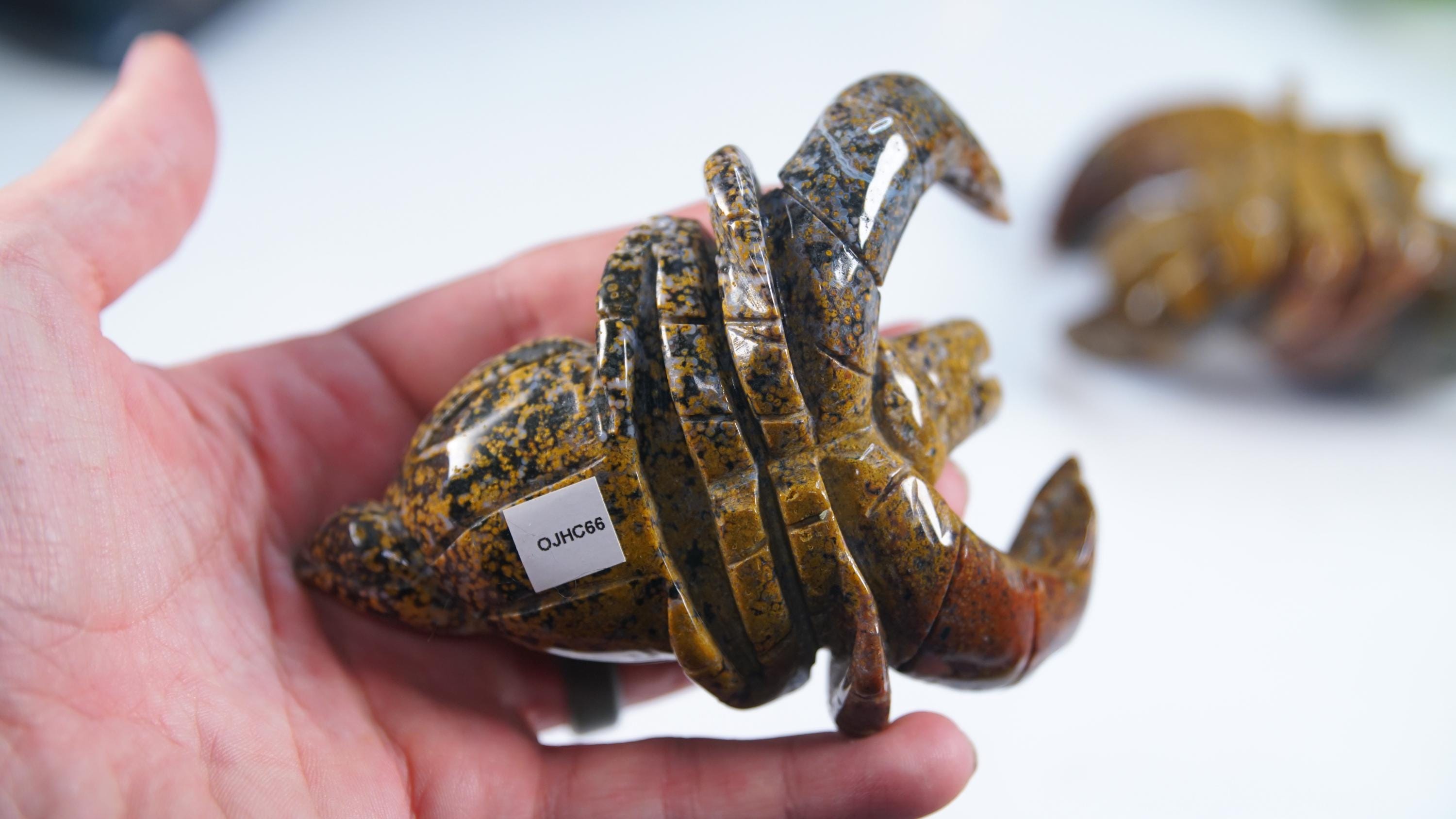 Multi Color Ocean Jasper Hermit Crab Carving | US Seller | Spiritual Meditation Energy Reiki Crystal Quartz Healing Love