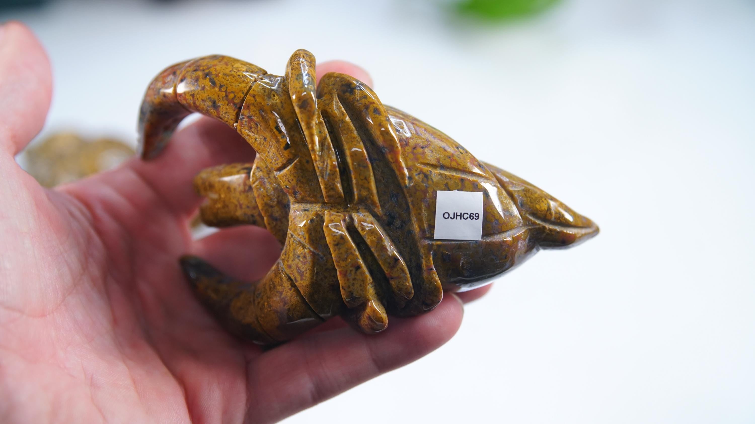 Multi Color Ocean Jasper Hermit Crab Carving | US Seller | Spiritual Meditation Energy Reiki Crystal Quartz Healing Love