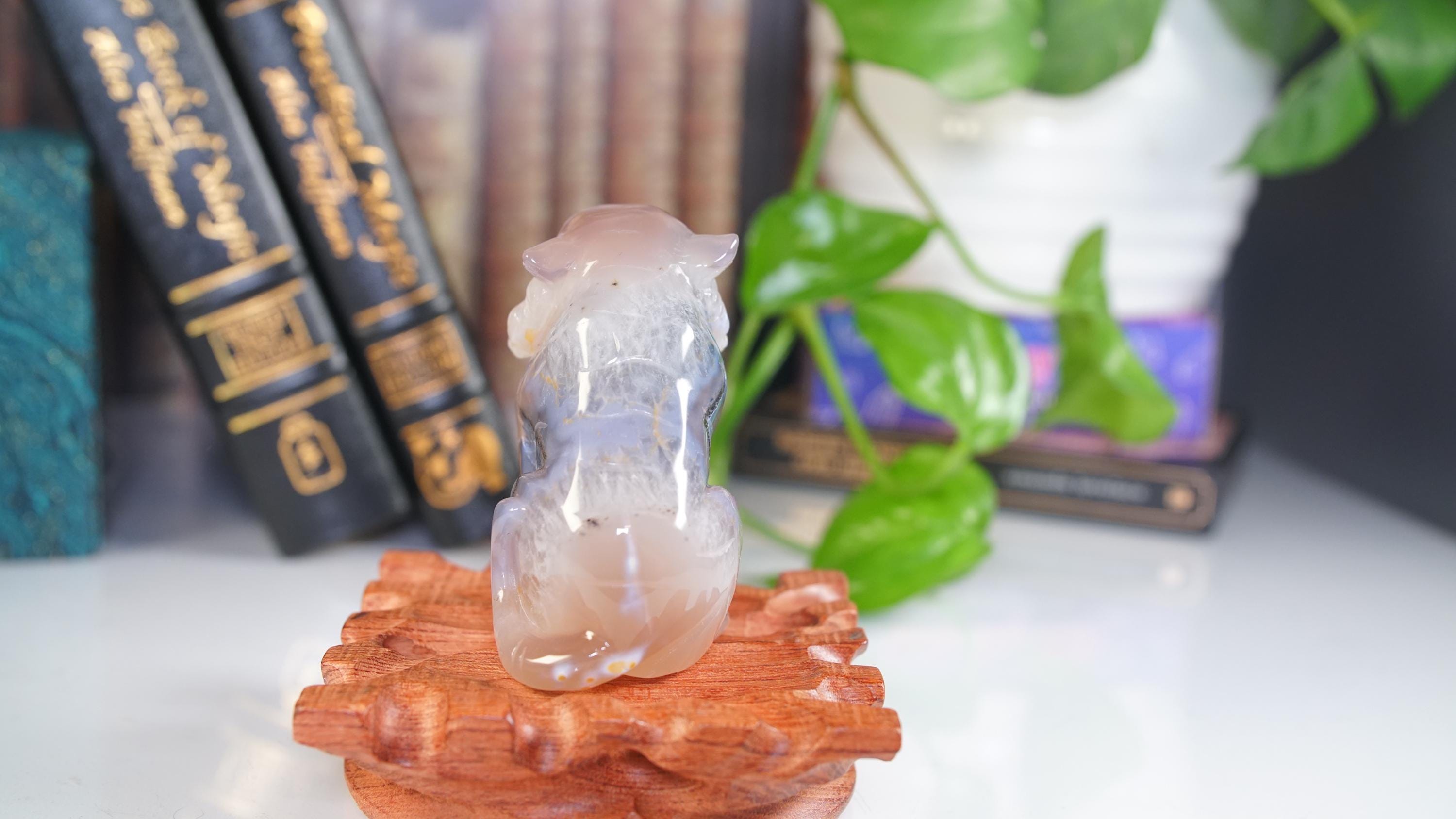 Druzy Tiger Agate | US Seller | Home Decor Energy Healing Feng Shui Altar Reiki Office Gift