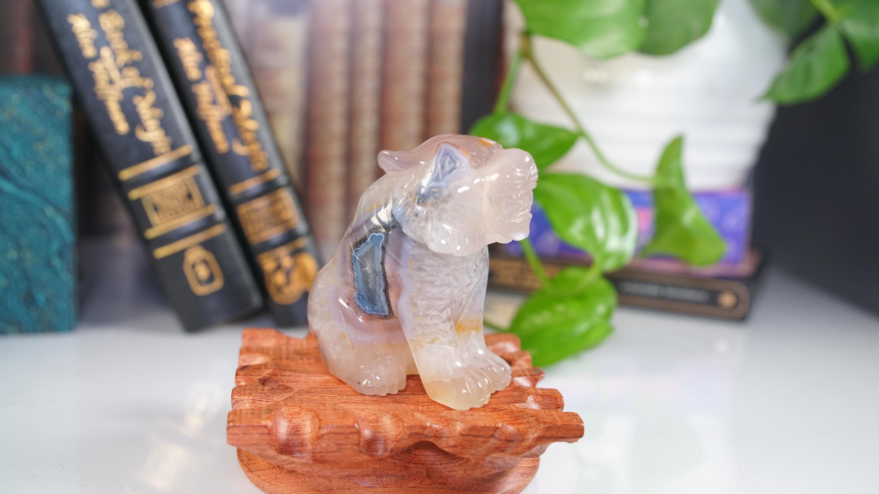 Druzy Tiger Agate | US Seller | Home Decor Energy Healing Feng Shui Altar Reiki Office Gift