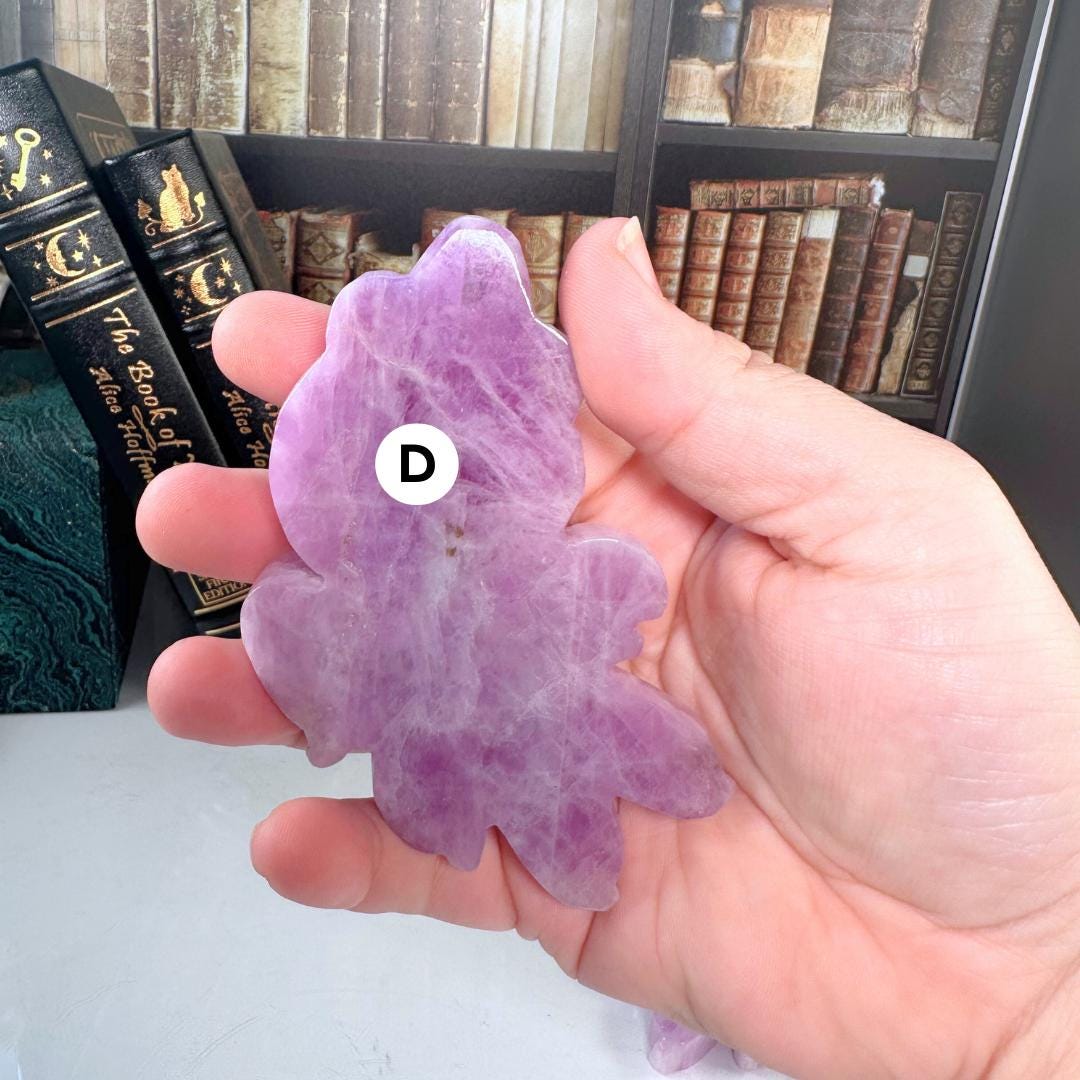 Kunzite Goldfish Carving Koi Fish | US Seller | Healing Crystal Energy Reiki Altar