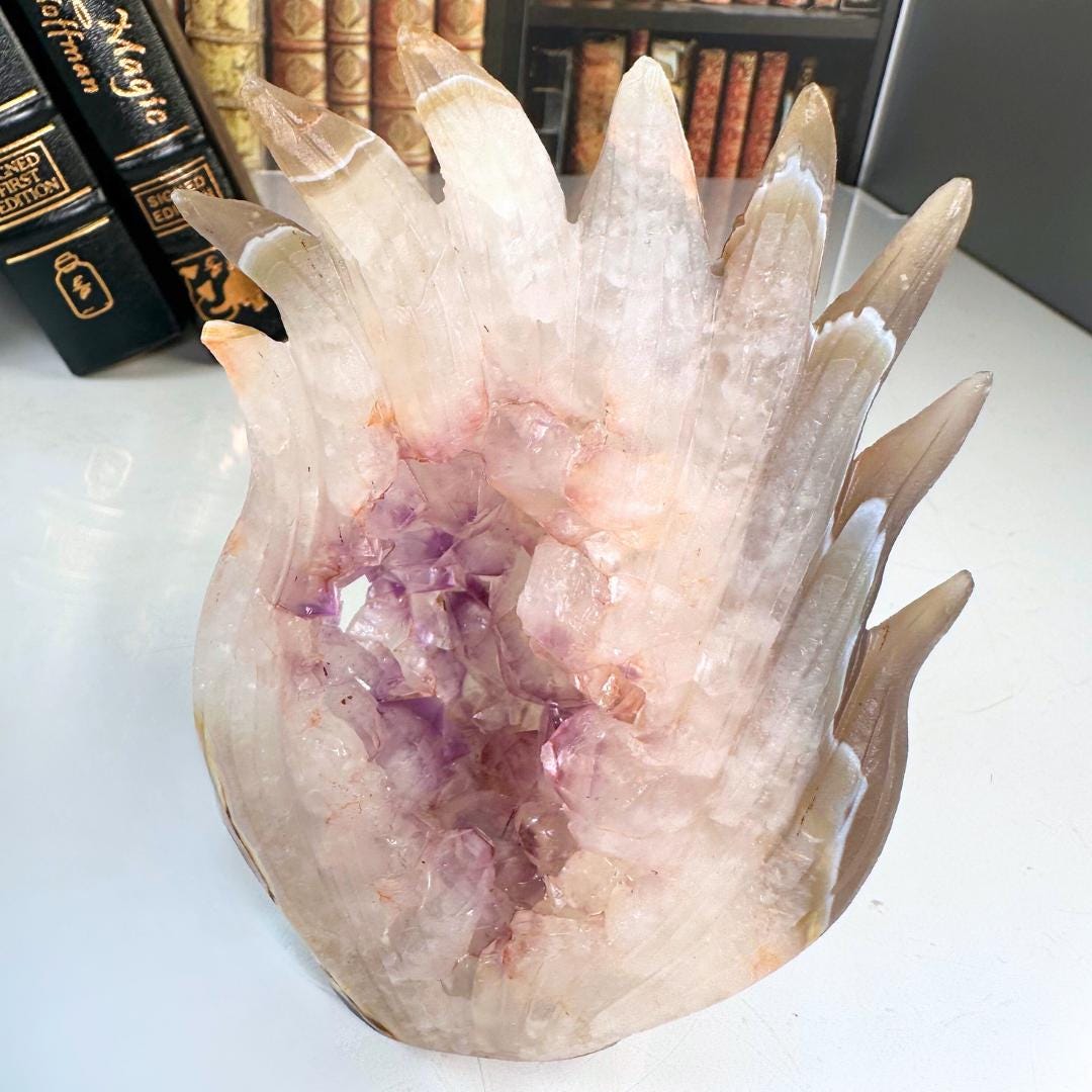 XL Druzy Agate Fox Crystal Carving Geode Statement Piece