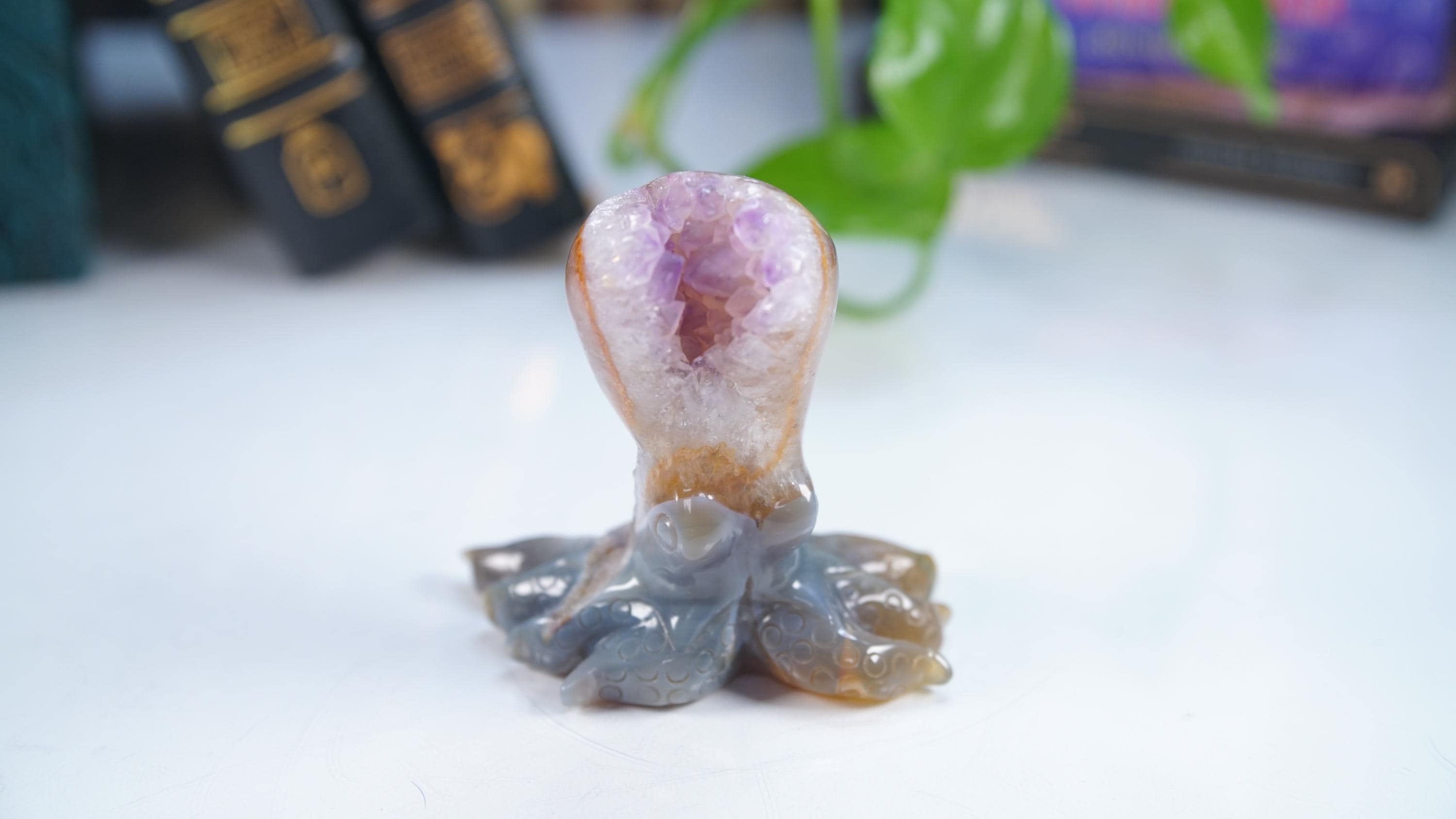 Druzy Agate Octopus Crystal Penguin Carving Geode Statement Piece