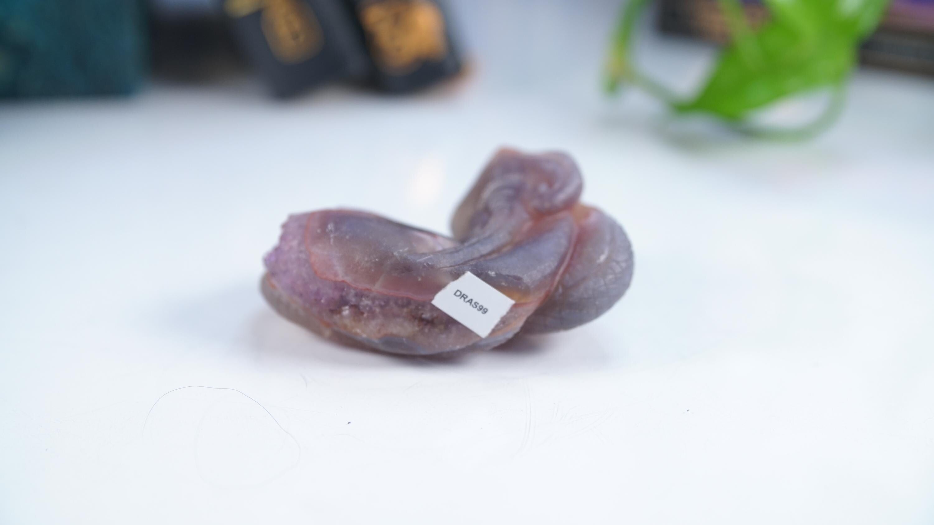 Druzy Agate Amethyst Snake Crystal Carving Geode Statement Piece