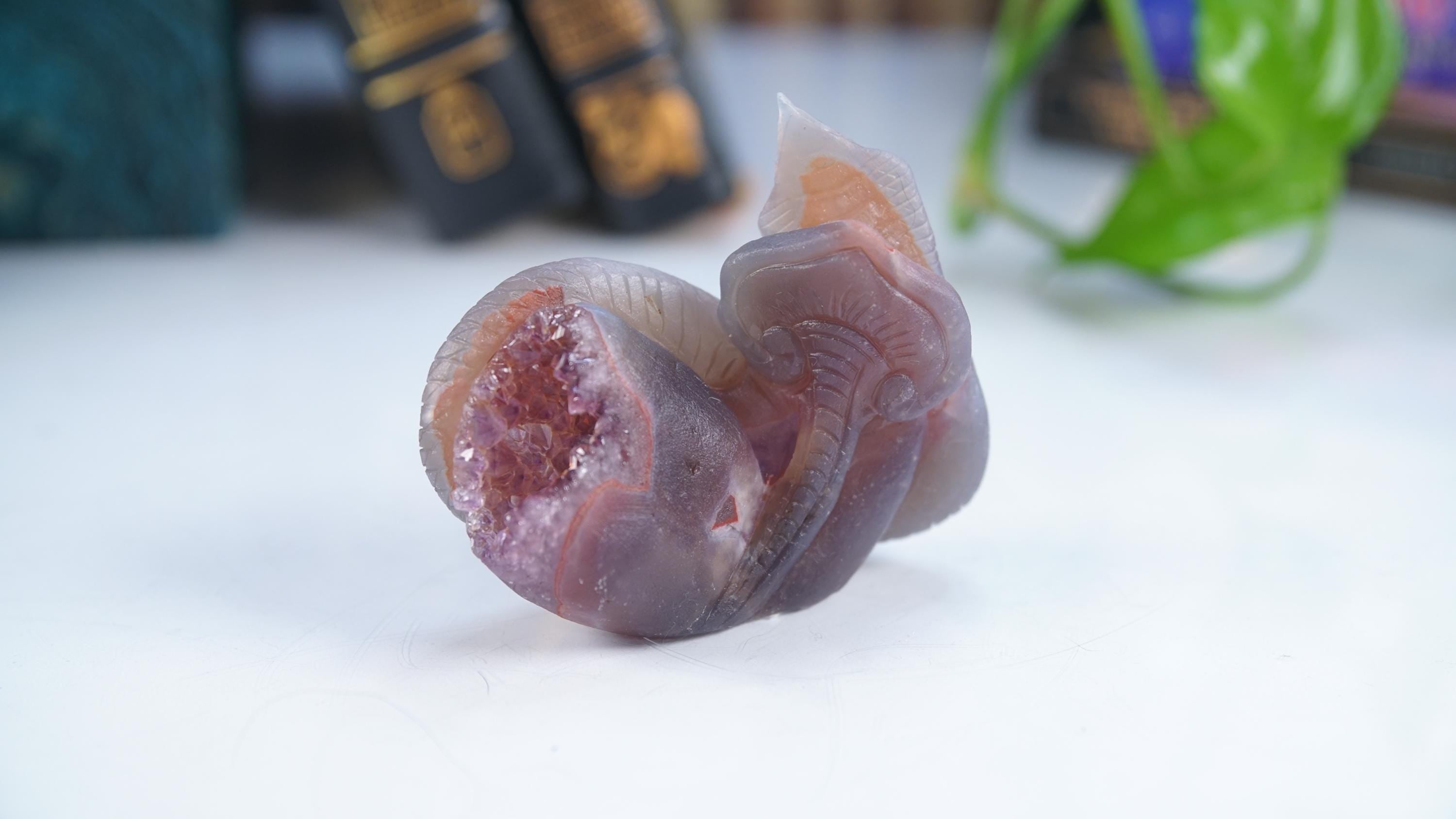 Druzy Agate Amethyst Snake Crystal Carving Geode Statement Piece