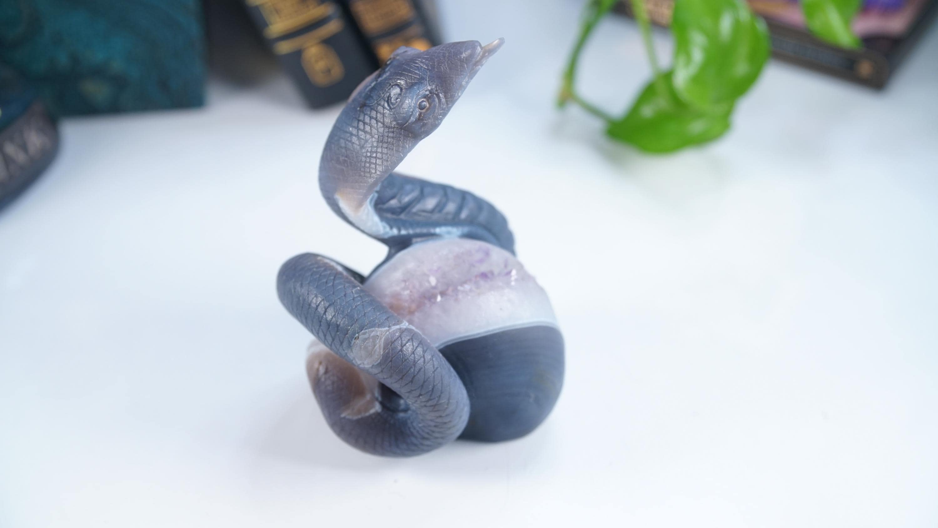 Druzy Agate Amethyst Snake Crystal Carving Geode Statement Piece