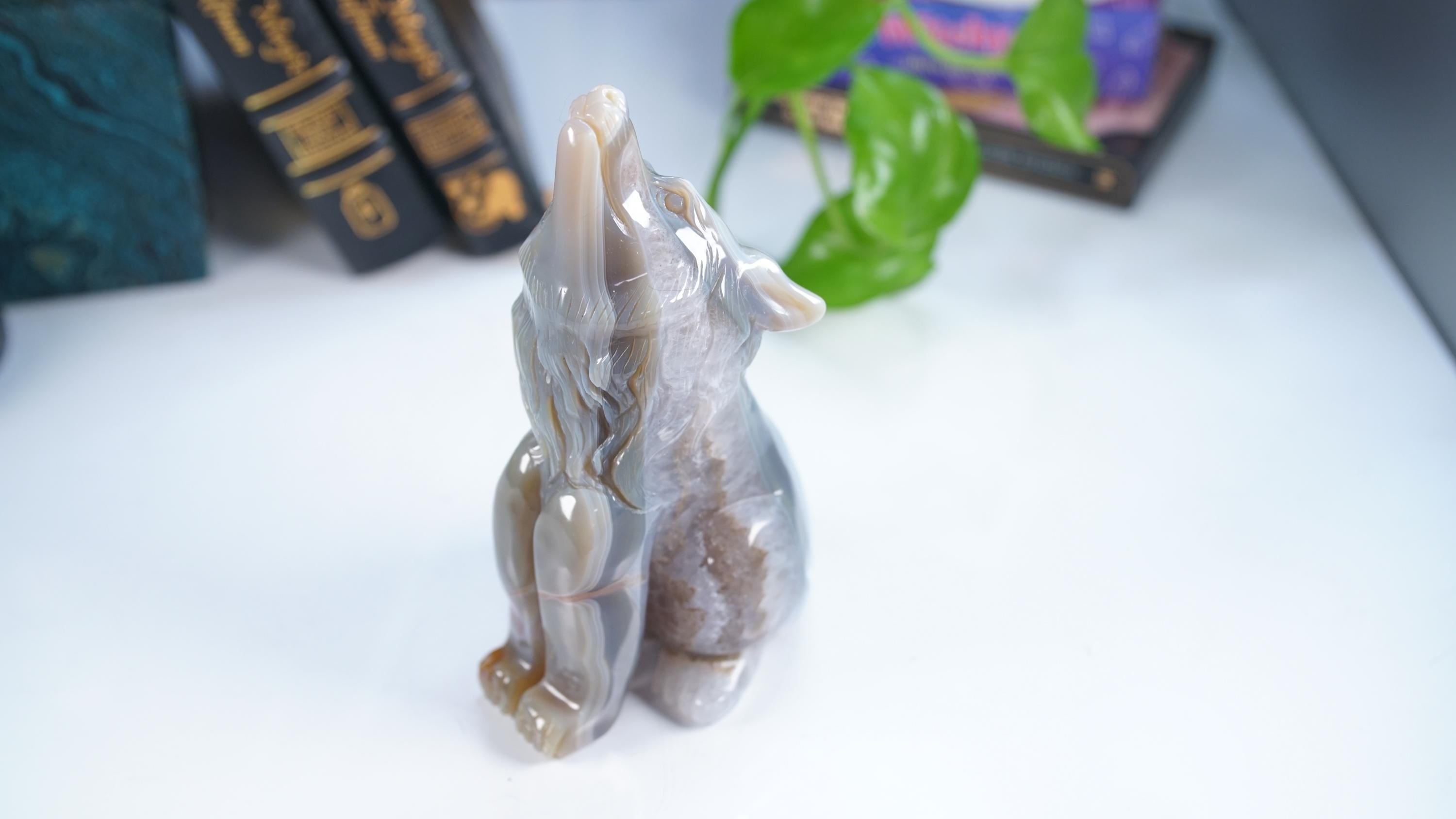 XL Druzy Agate Wolf Crystal Carving Geode Statement Piece