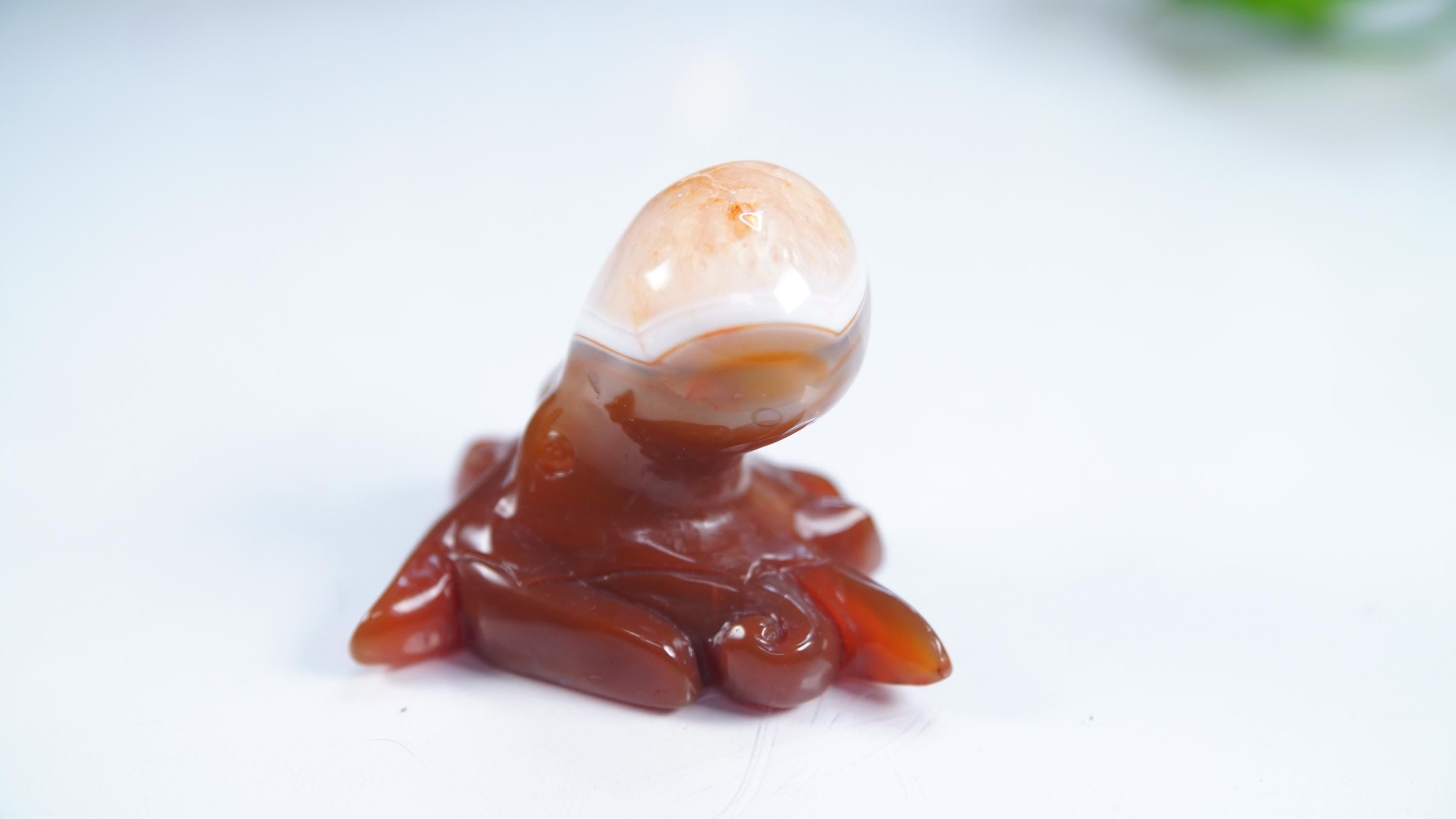 Red Carnelian Octopus Stone Carving Sculpture Healing Altar Reiki Feng Shui Altar