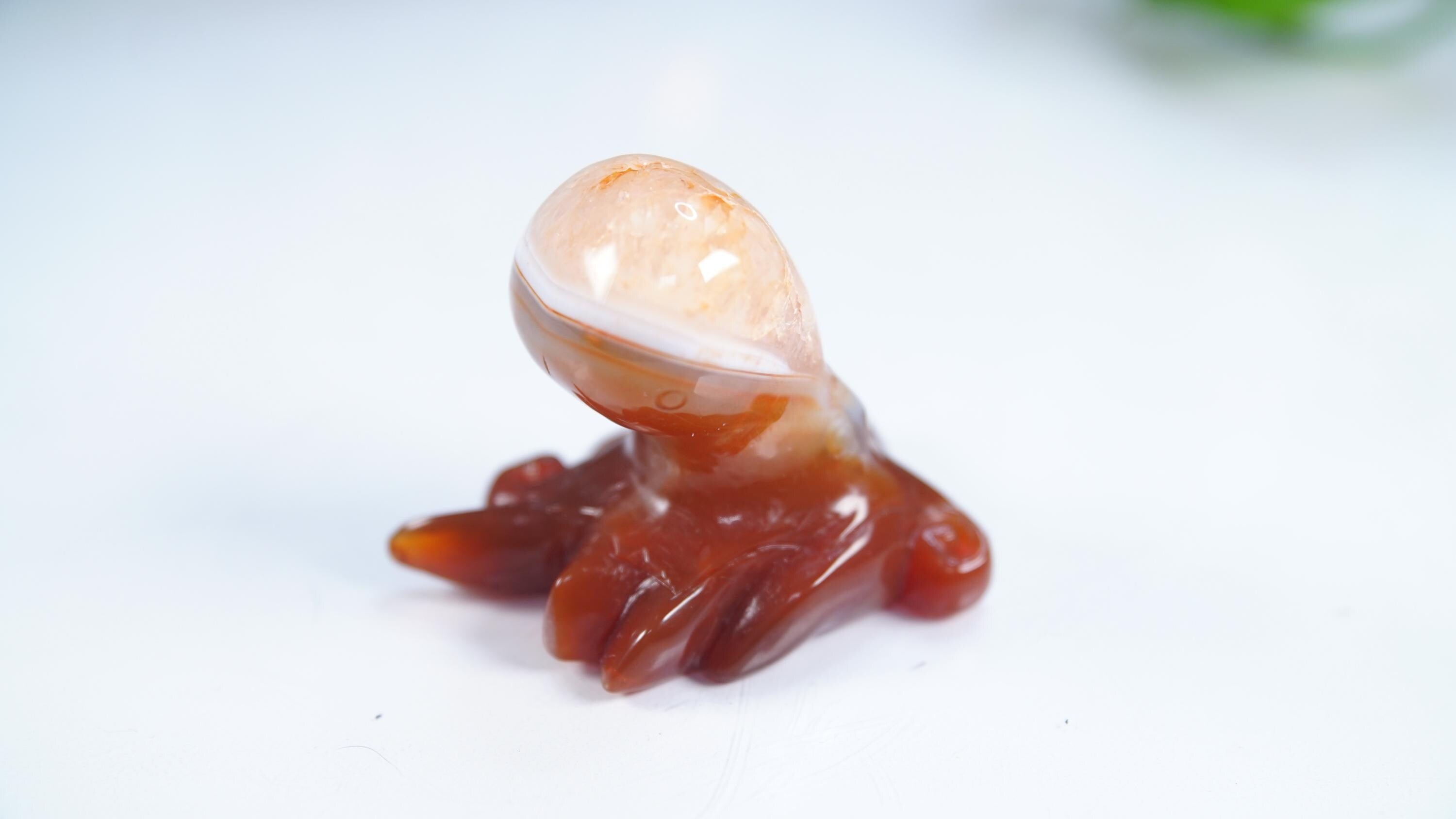 Red Carnelian Octopus Stone Carving Sculpture Healing Altar Reiki Feng Shui Altar