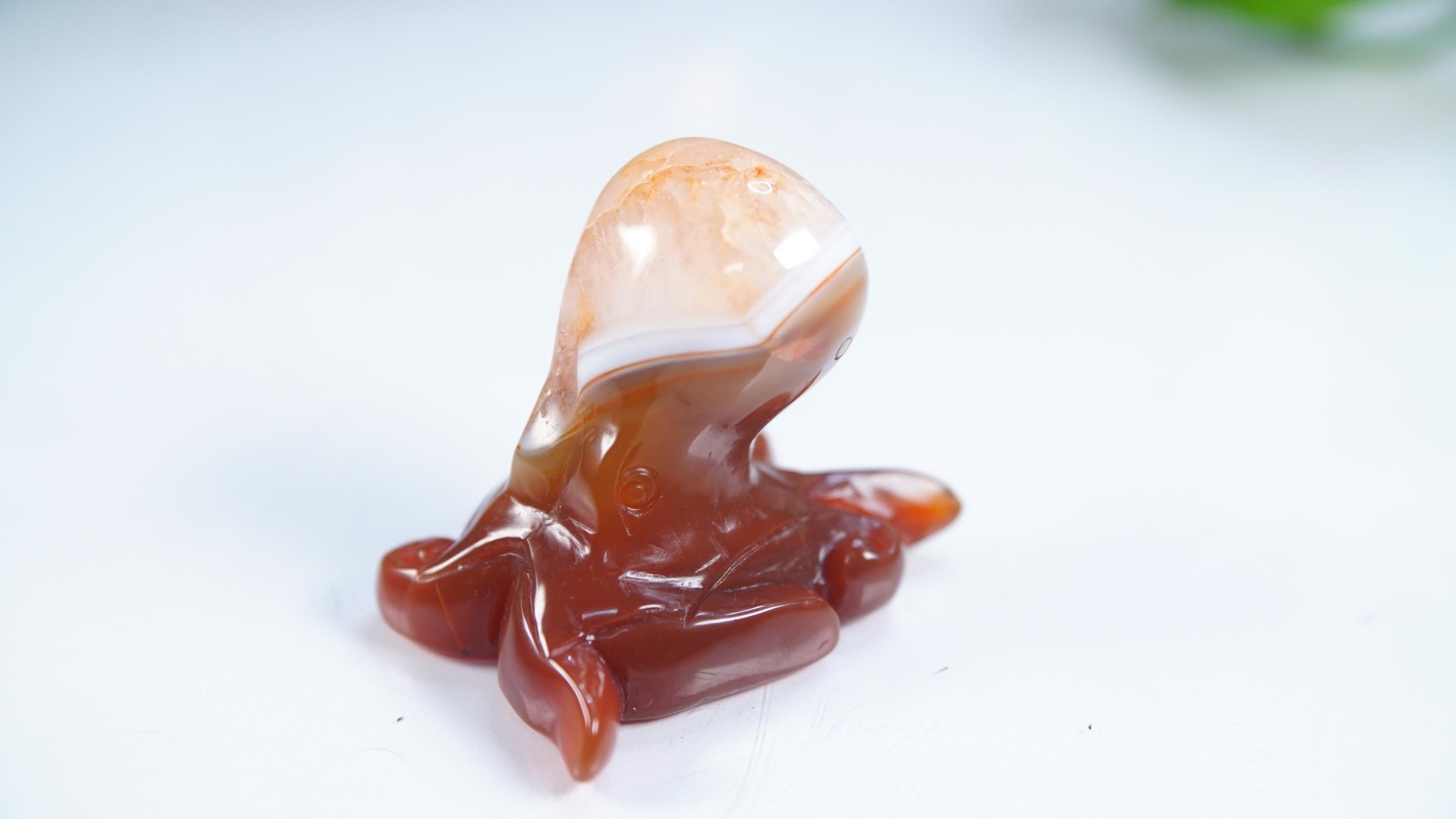 Red Carnelian Octopus Stone Carving Sculpture Healing Altar Reiki Feng Shui Altar