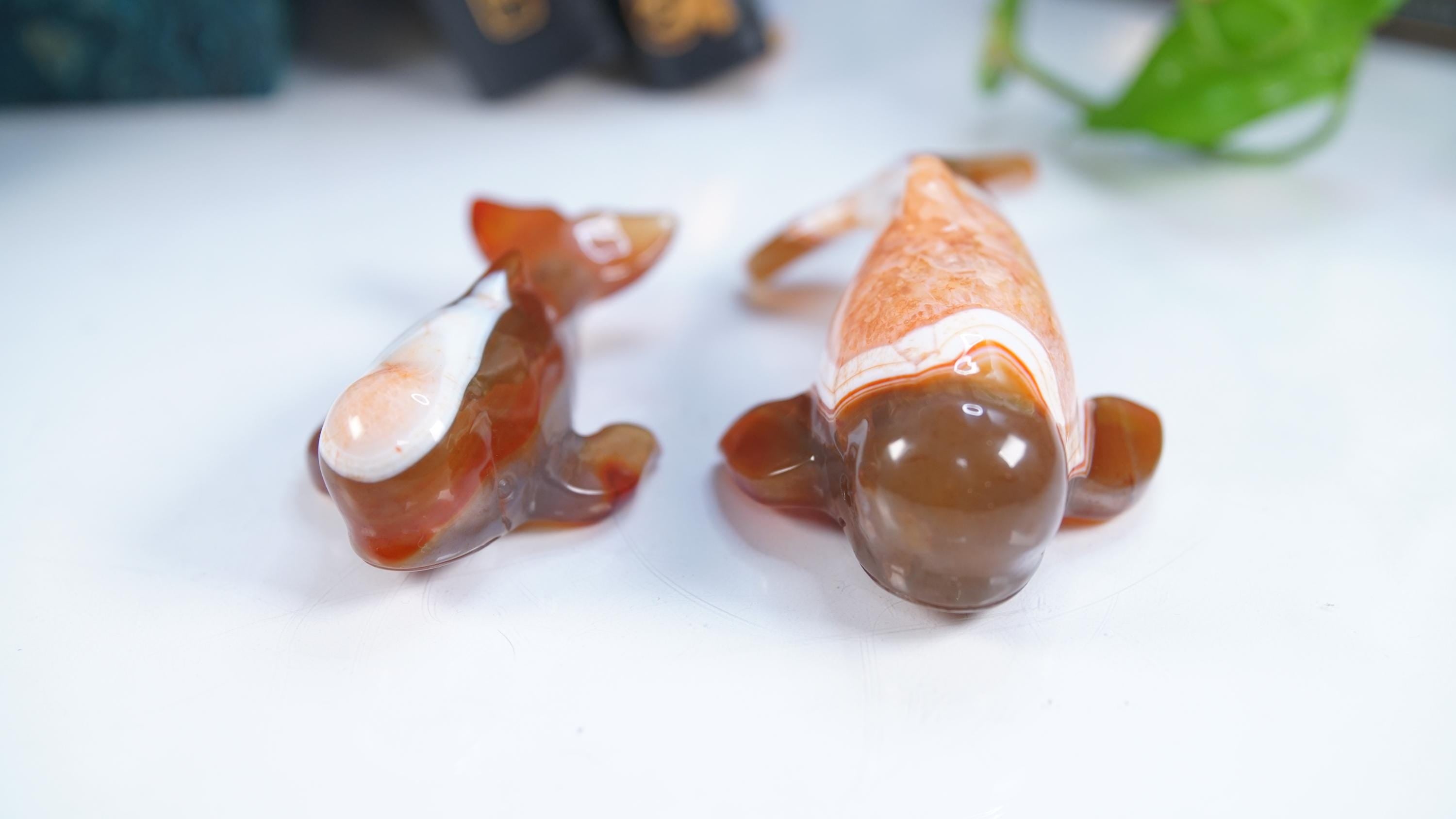 Red Carnelian Beluga Whale Stone Carving Sculpture Healing Altar Reiki Feng Shui Altar