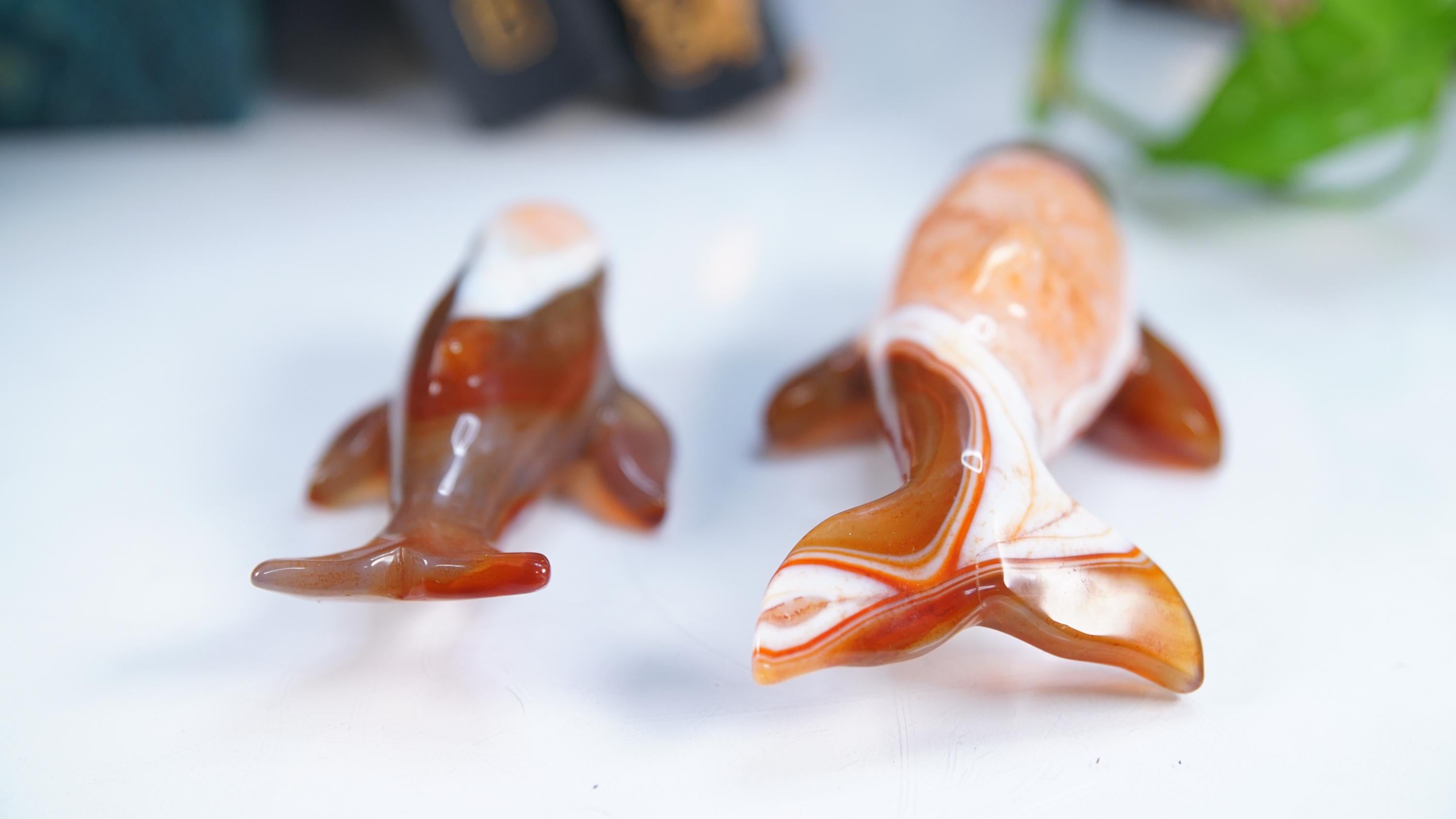 Red Carnelian Beluga Whale Stone Carving Sculpture Healing Altar Reiki Feng Shui Altar