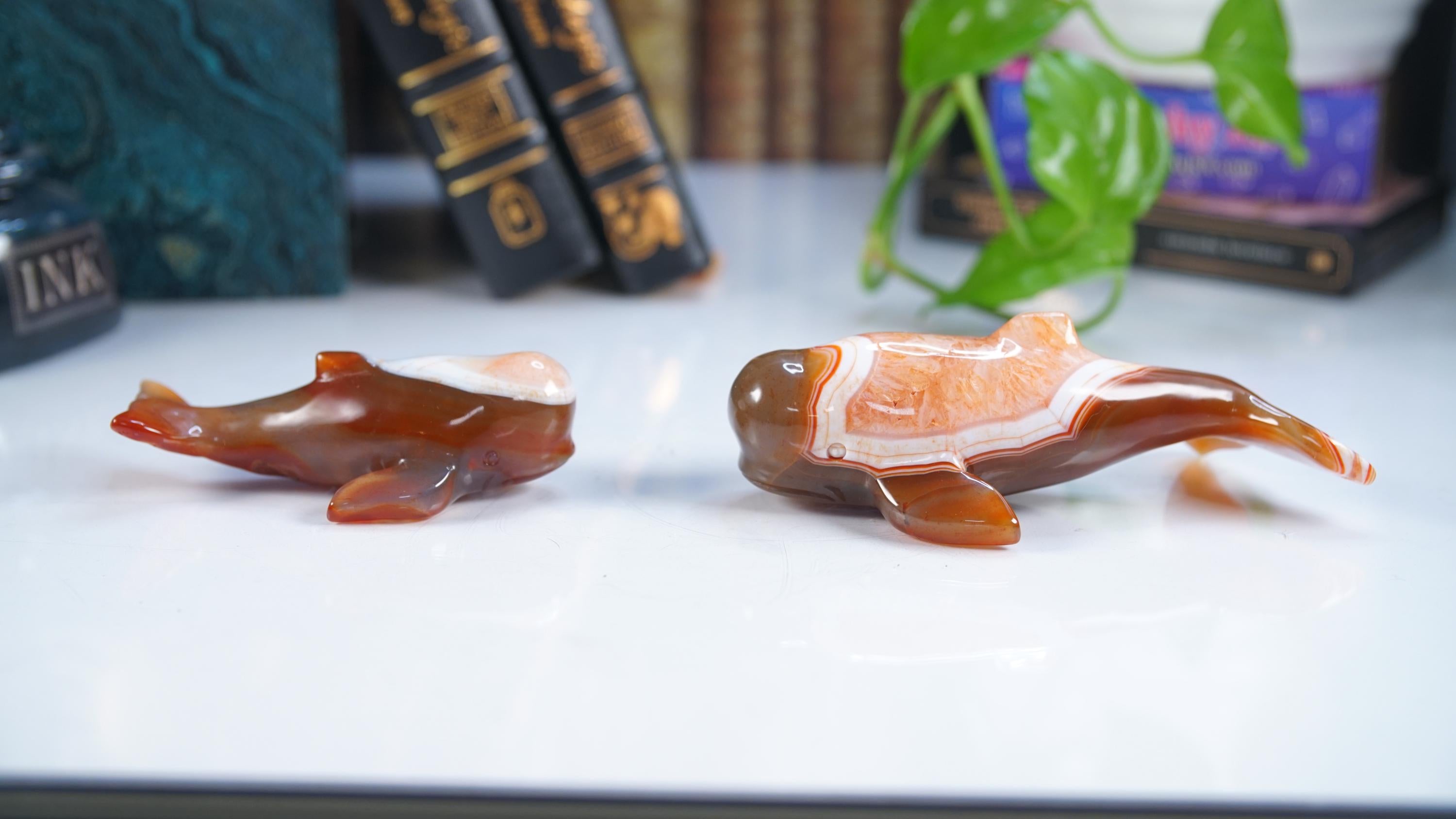 Red Carnelian Beluga Whale Stone Carving Sculpture Healing Altar Reiki Feng Shui Altar