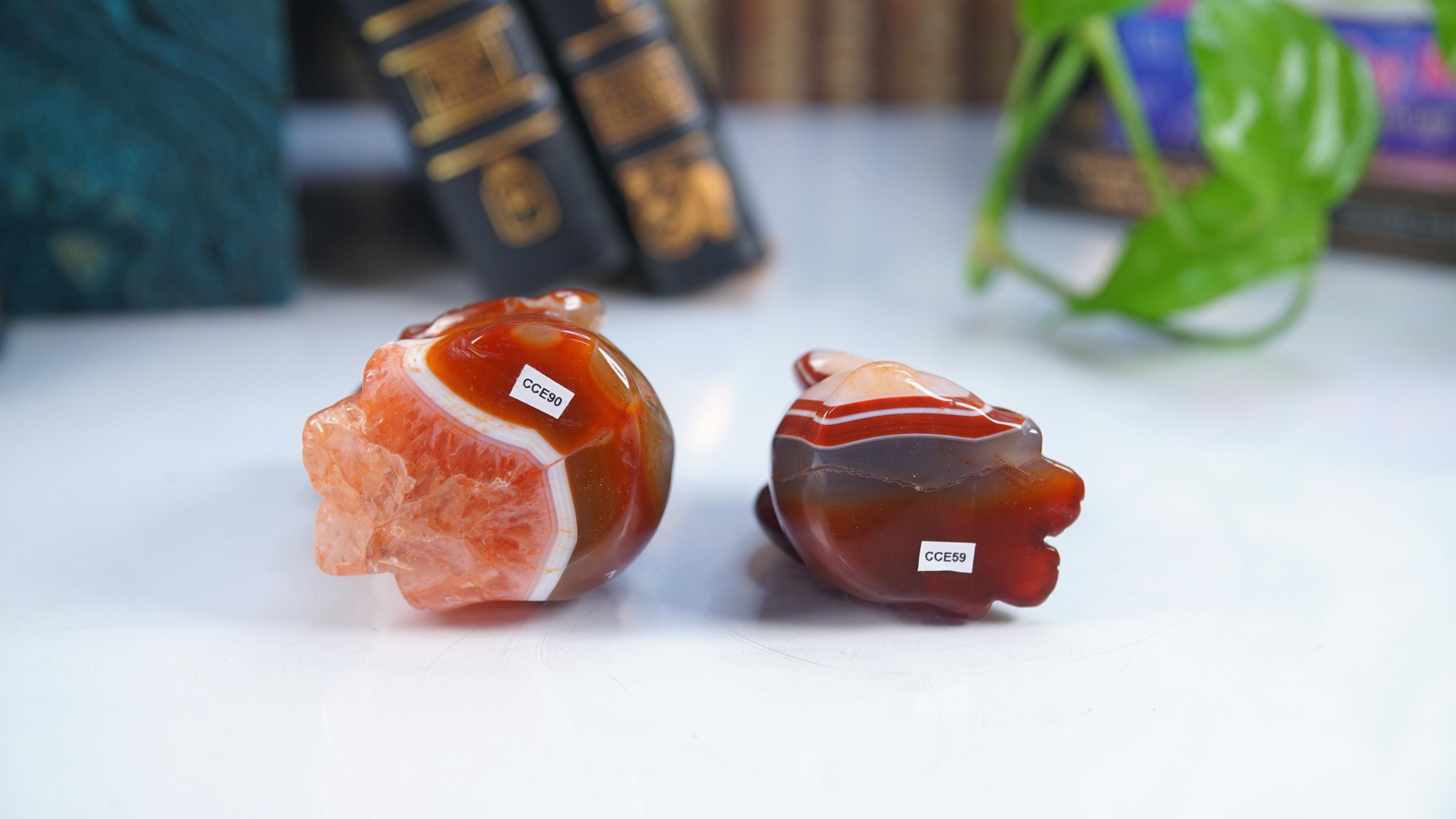 Red Carnelian Elephant Stone Carving Sculpture Healing Altar Reiki Feng Shui Altar