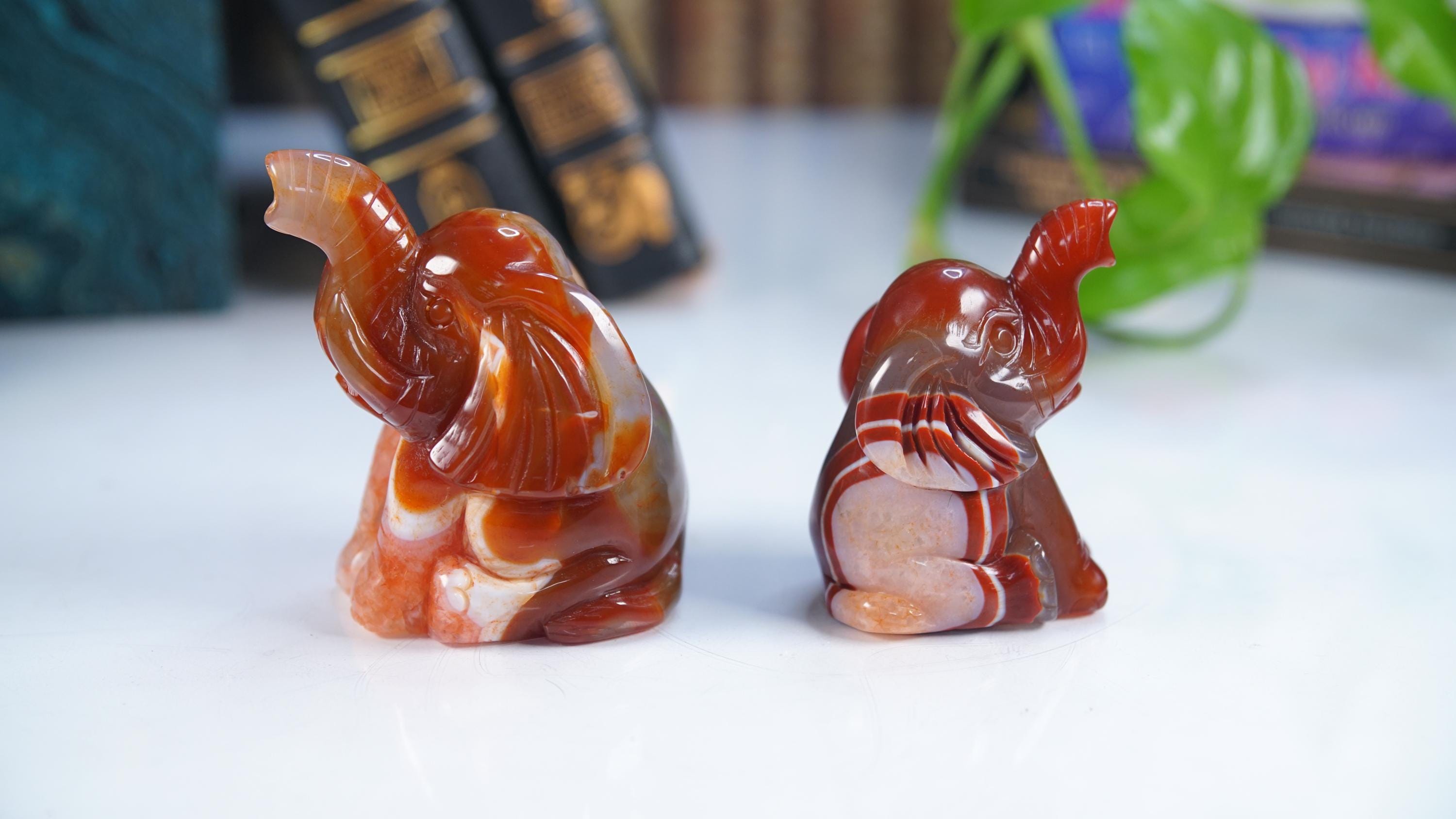 Red Carnelian Elephant Stone Carving Sculpture Healing Altar Reiki Feng Shui Altar