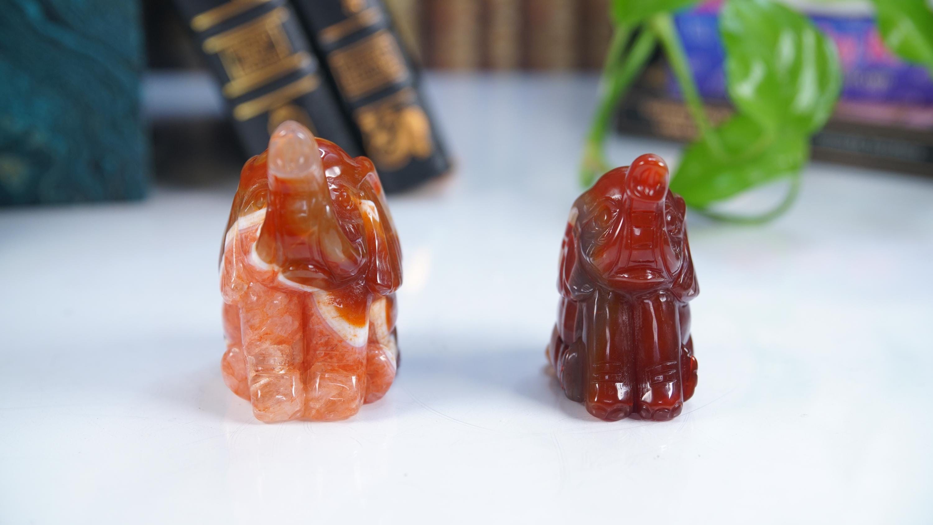 Red Carnelian Elephant Stone Carving Sculpture Healing Altar Reiki Feng Shui Altar