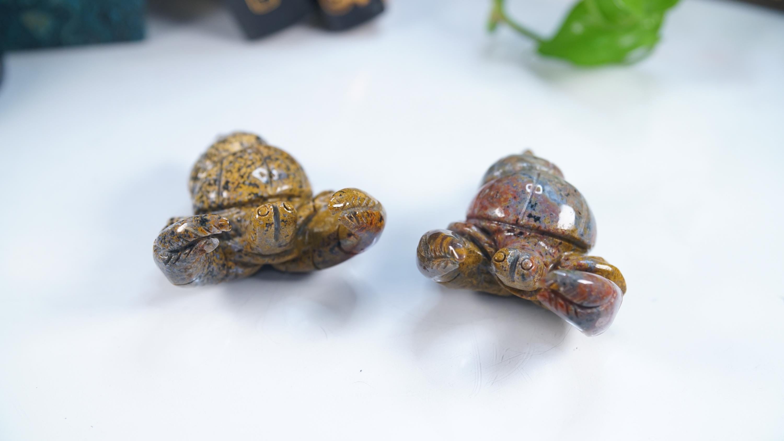 Multi Color Ocean Jasper Hermit Crab Carving | US Seller | Spiritual Meditation Energy Reiki Crystal Quartz Healing Love
